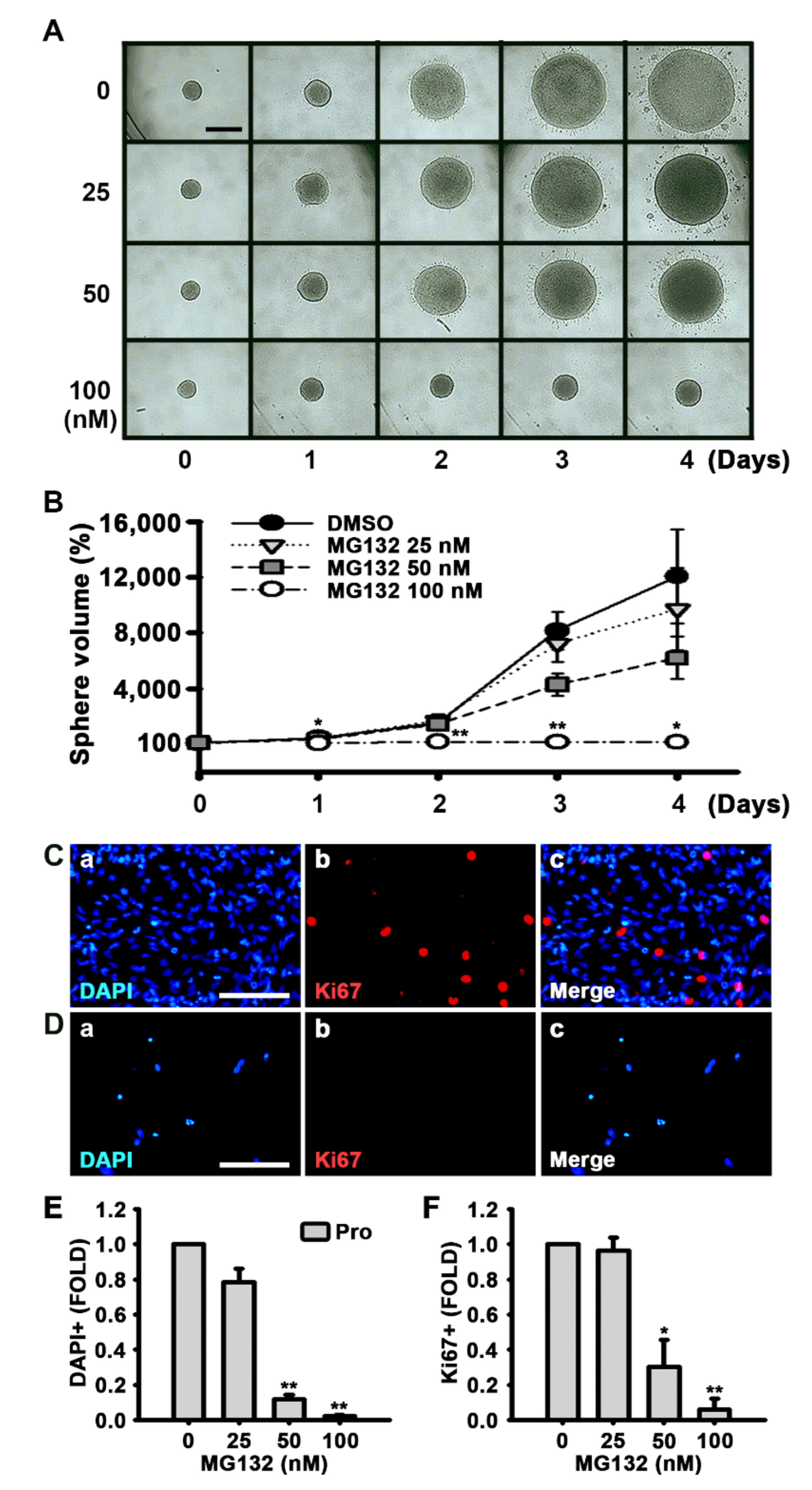 Biomolecules 10 01507 g003