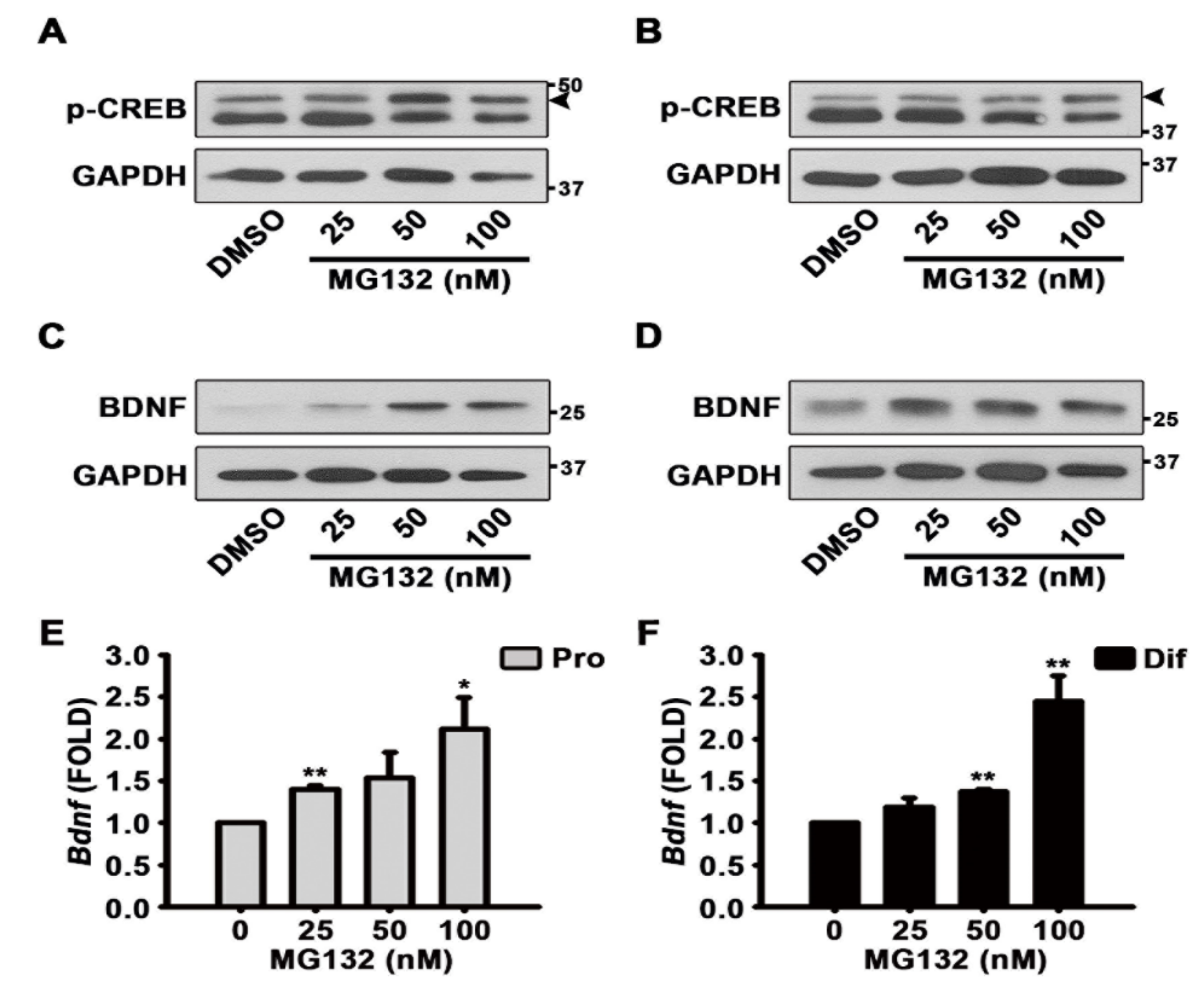 Biomolecules 10 01507 g006