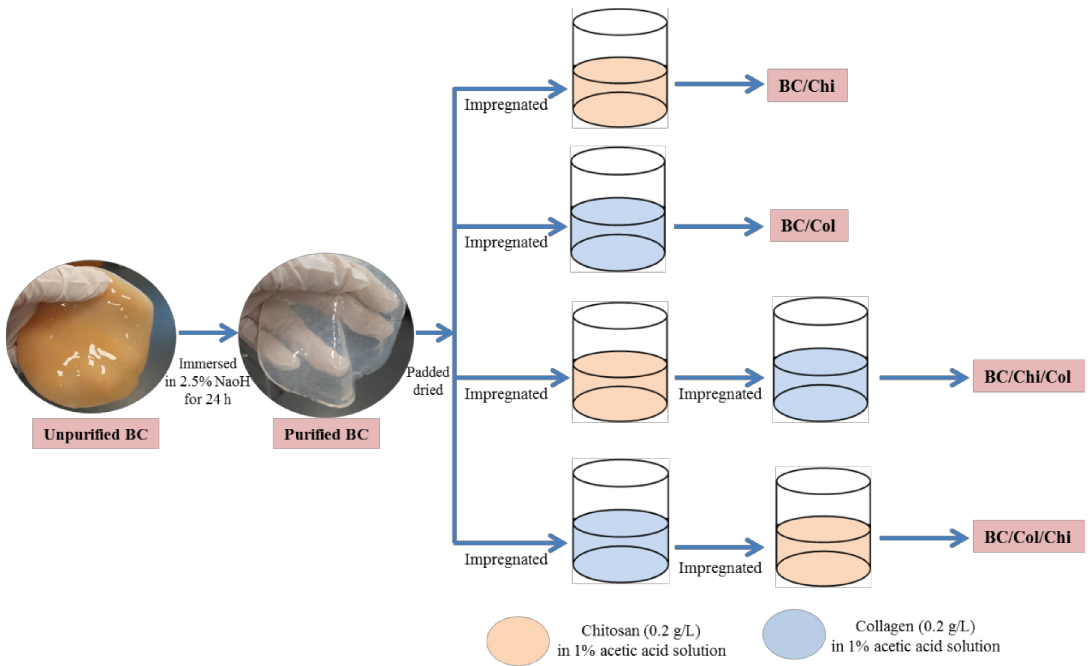 Biomolecules 10 01511 g001