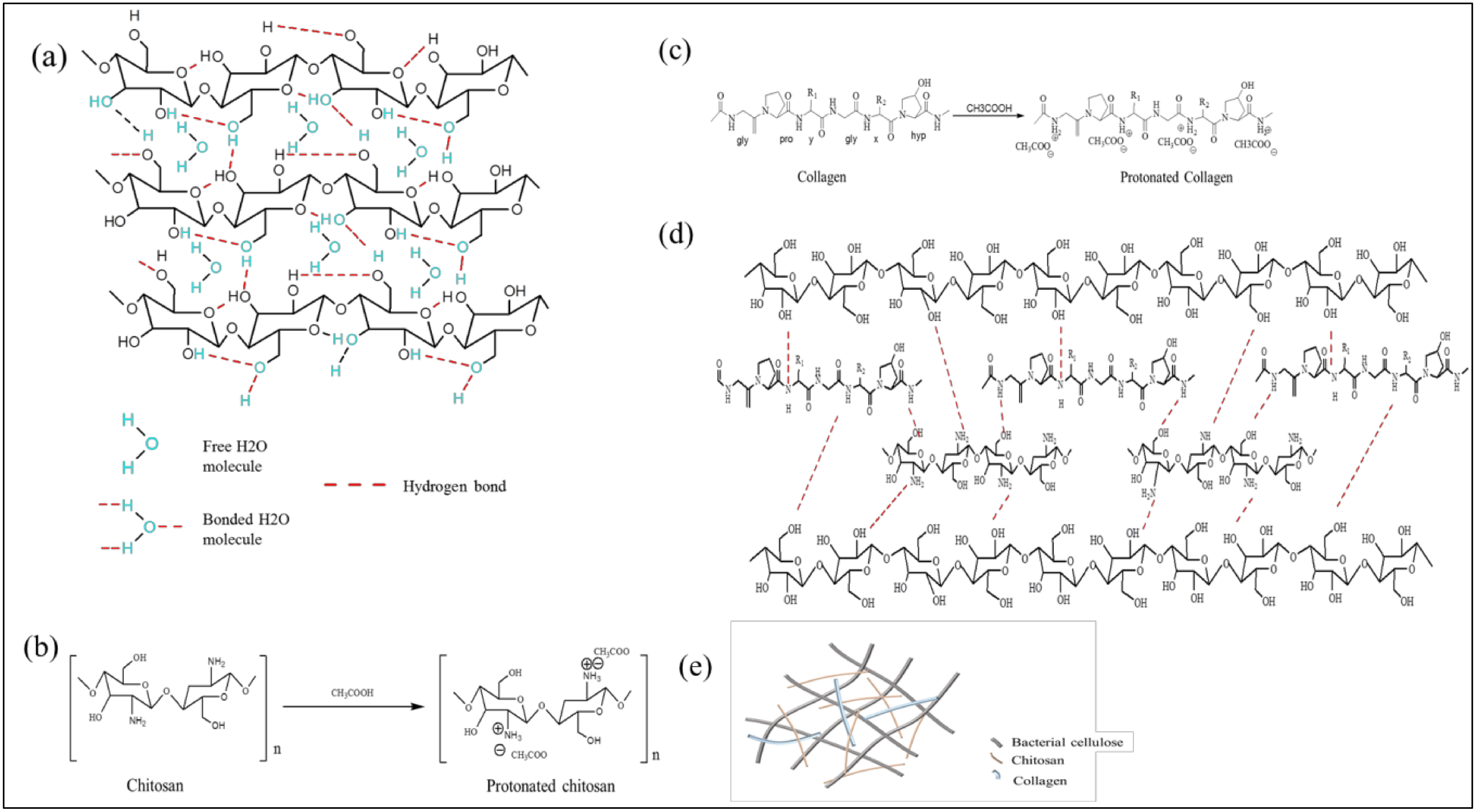Biomolecules 10 01511 g003