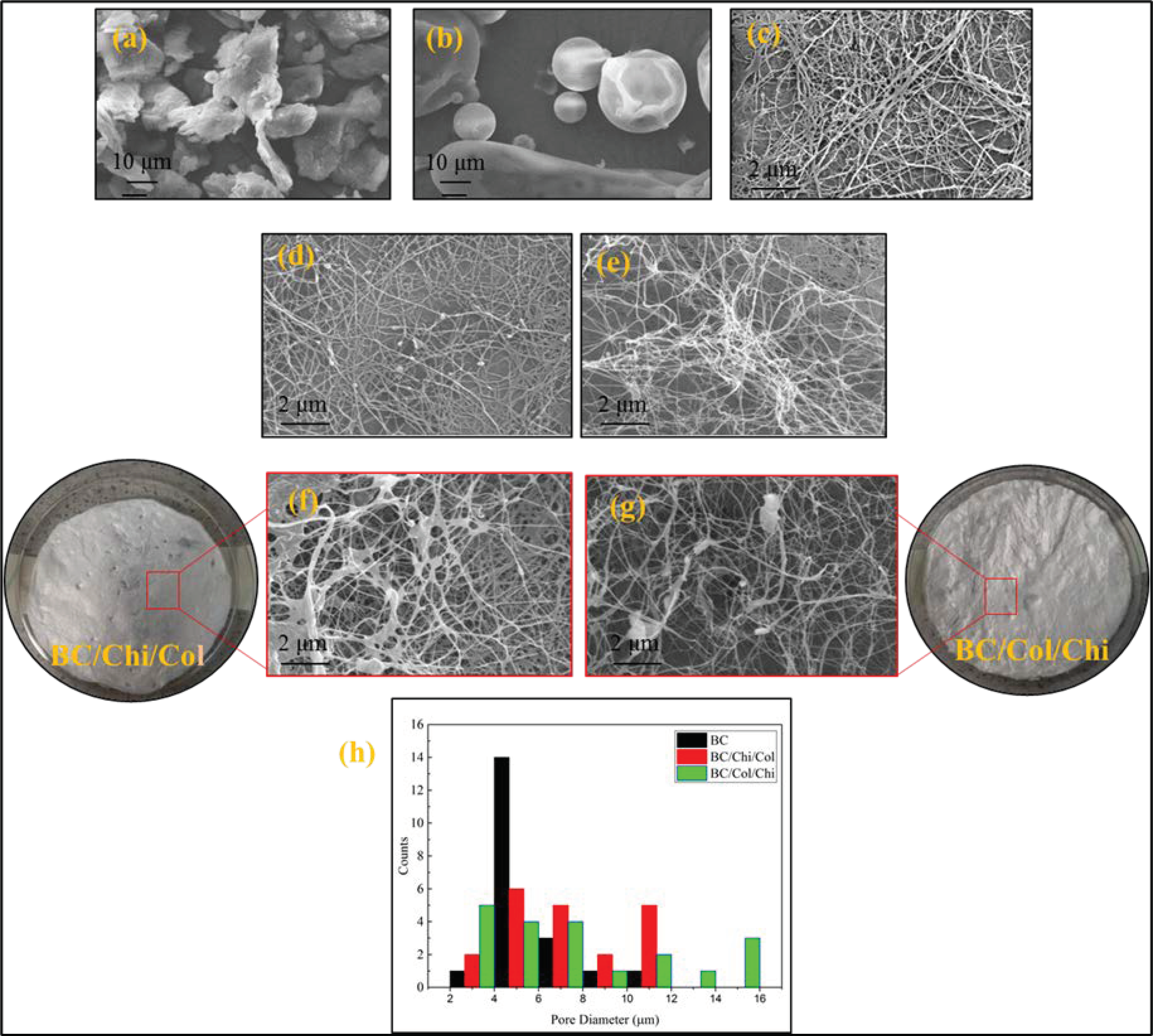 Biomolecules 10 01511 g006