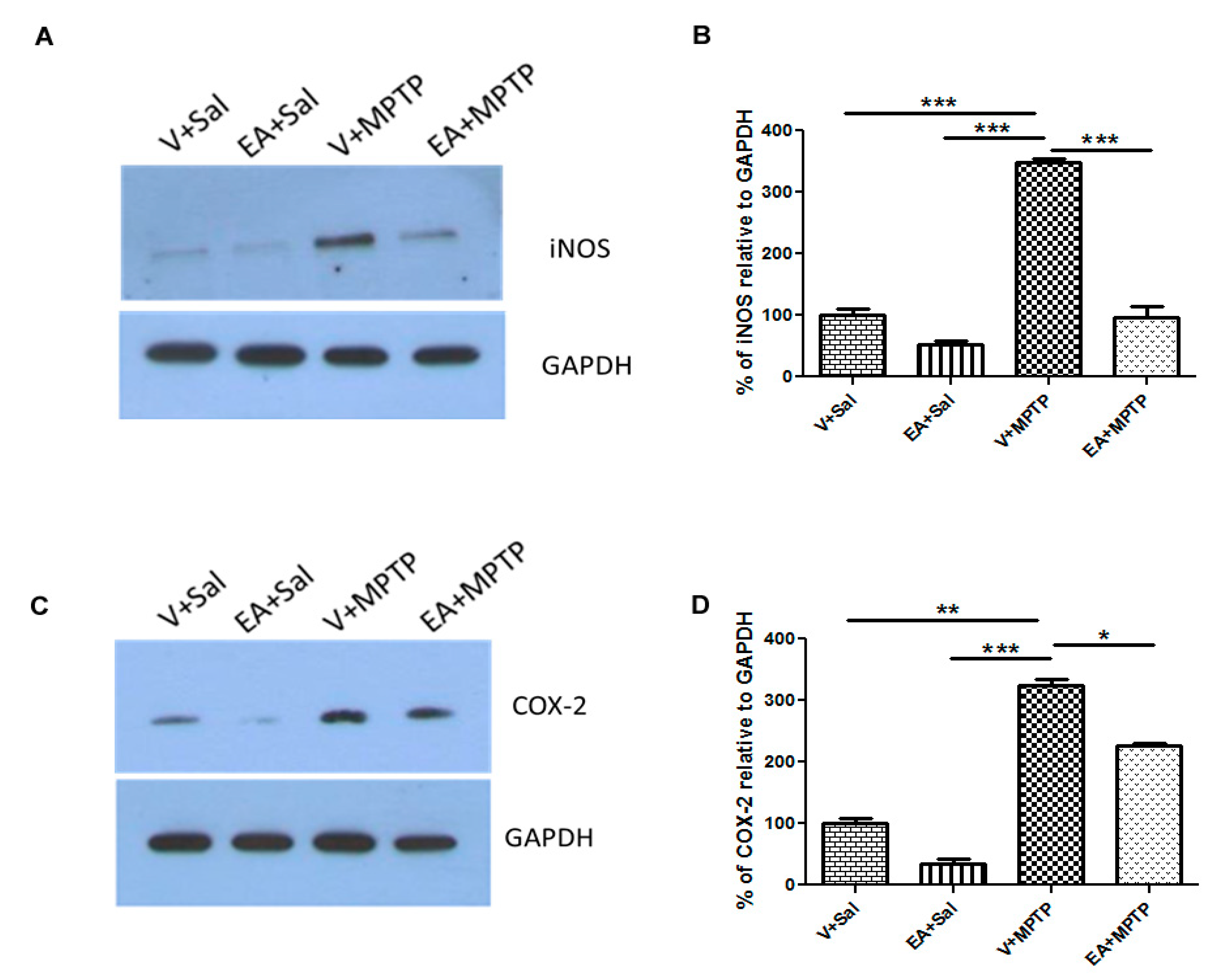 Biomolecules 10 01519 g005