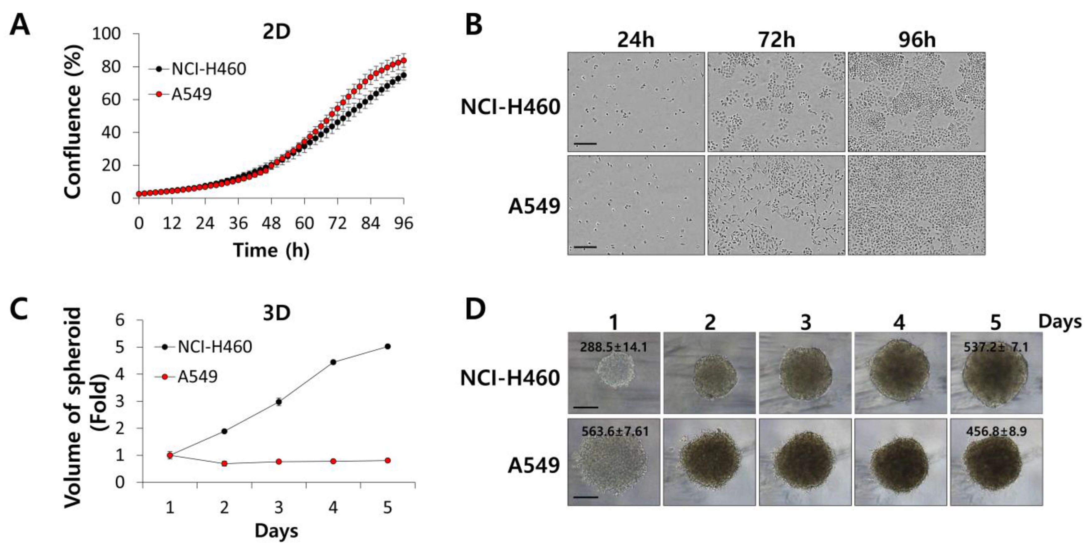 Biomolecules 10 01521 g001