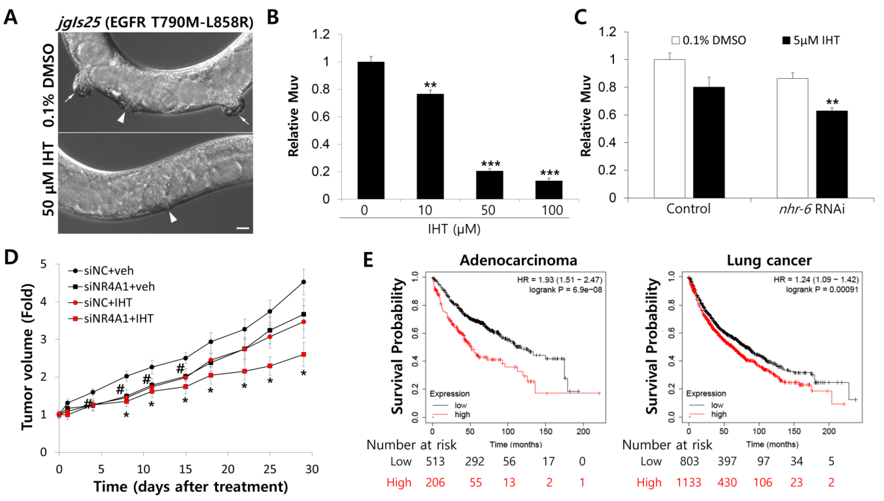 Biomolecules 10 01521 g006