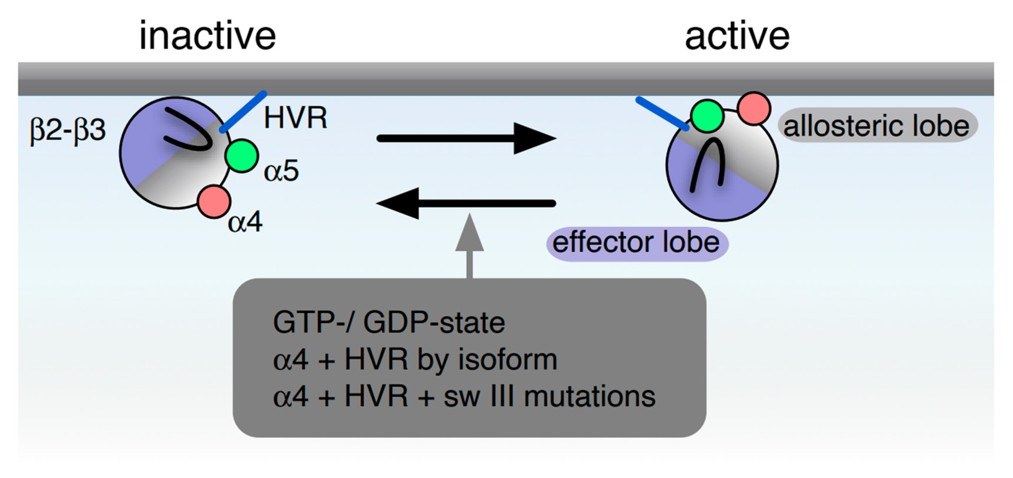 Biomolecules 10 01522 g001