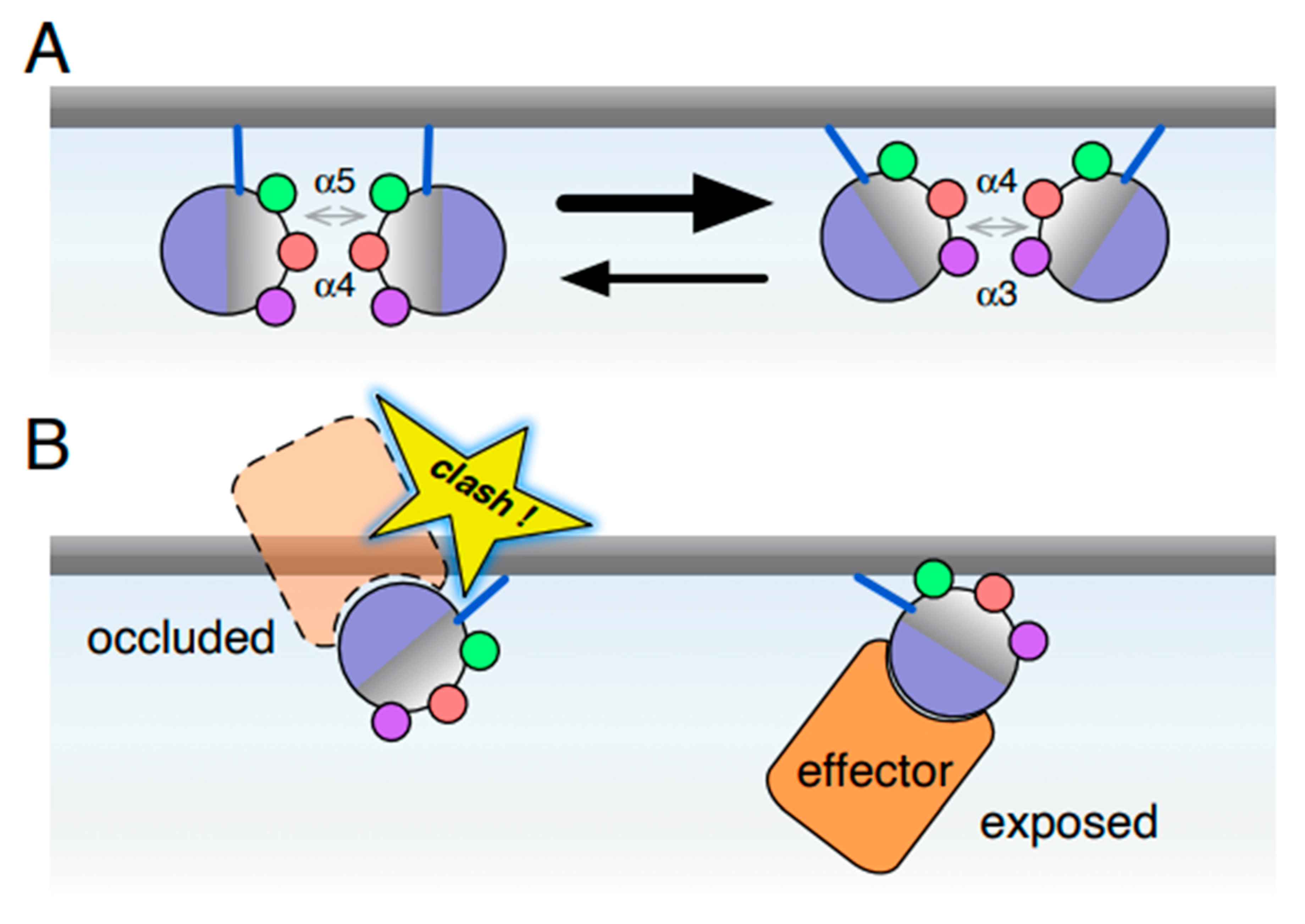 Biomolecules 10 01522 g003