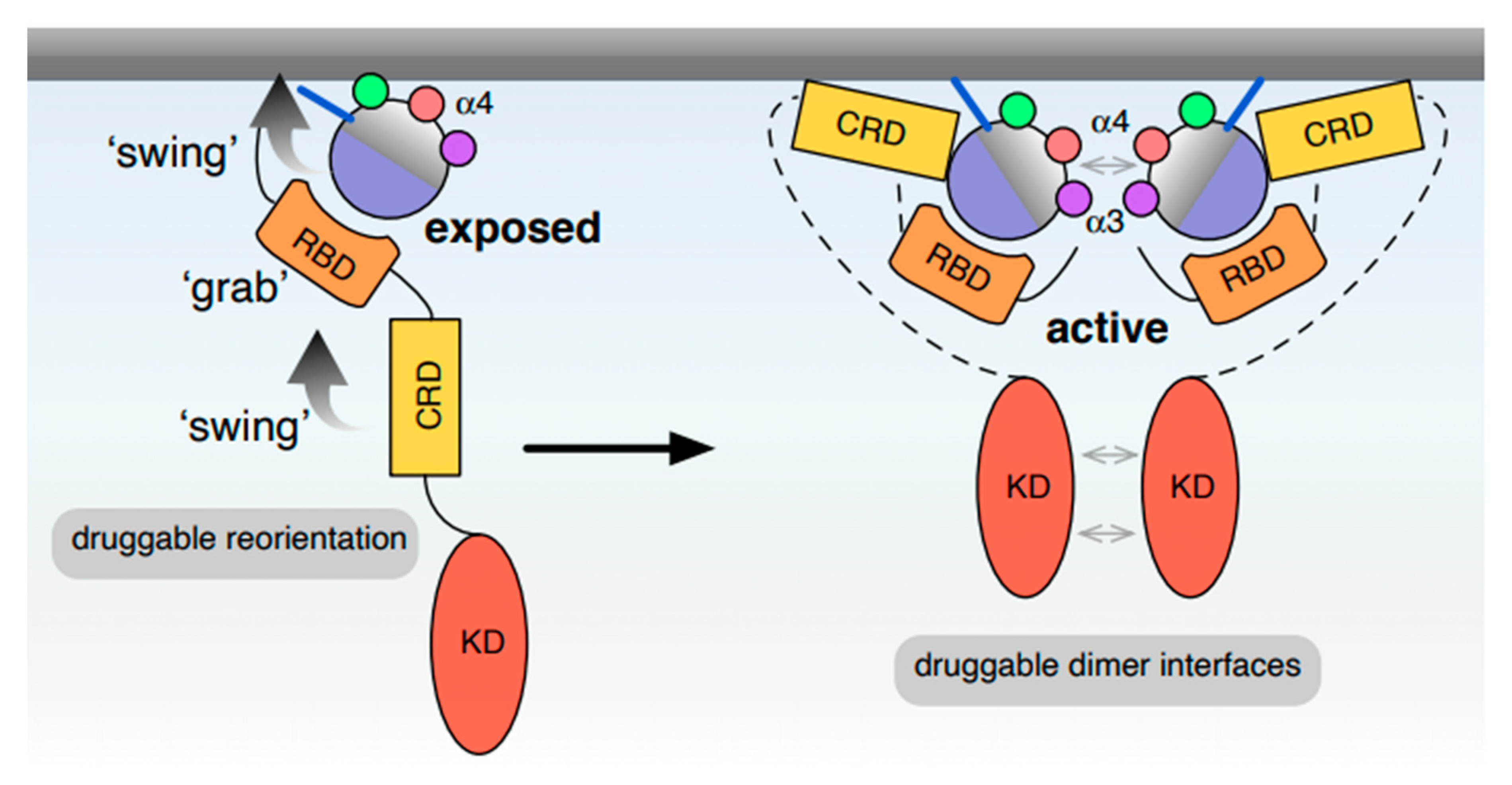 Biomolecules 10 01522 g004