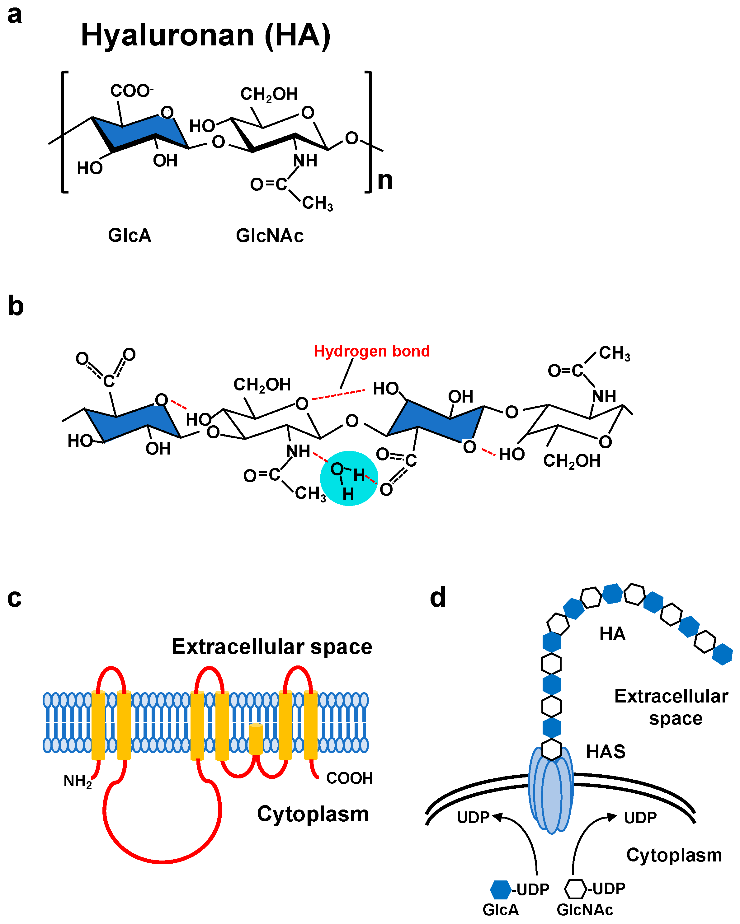 Biomolecules 10 01525 g001