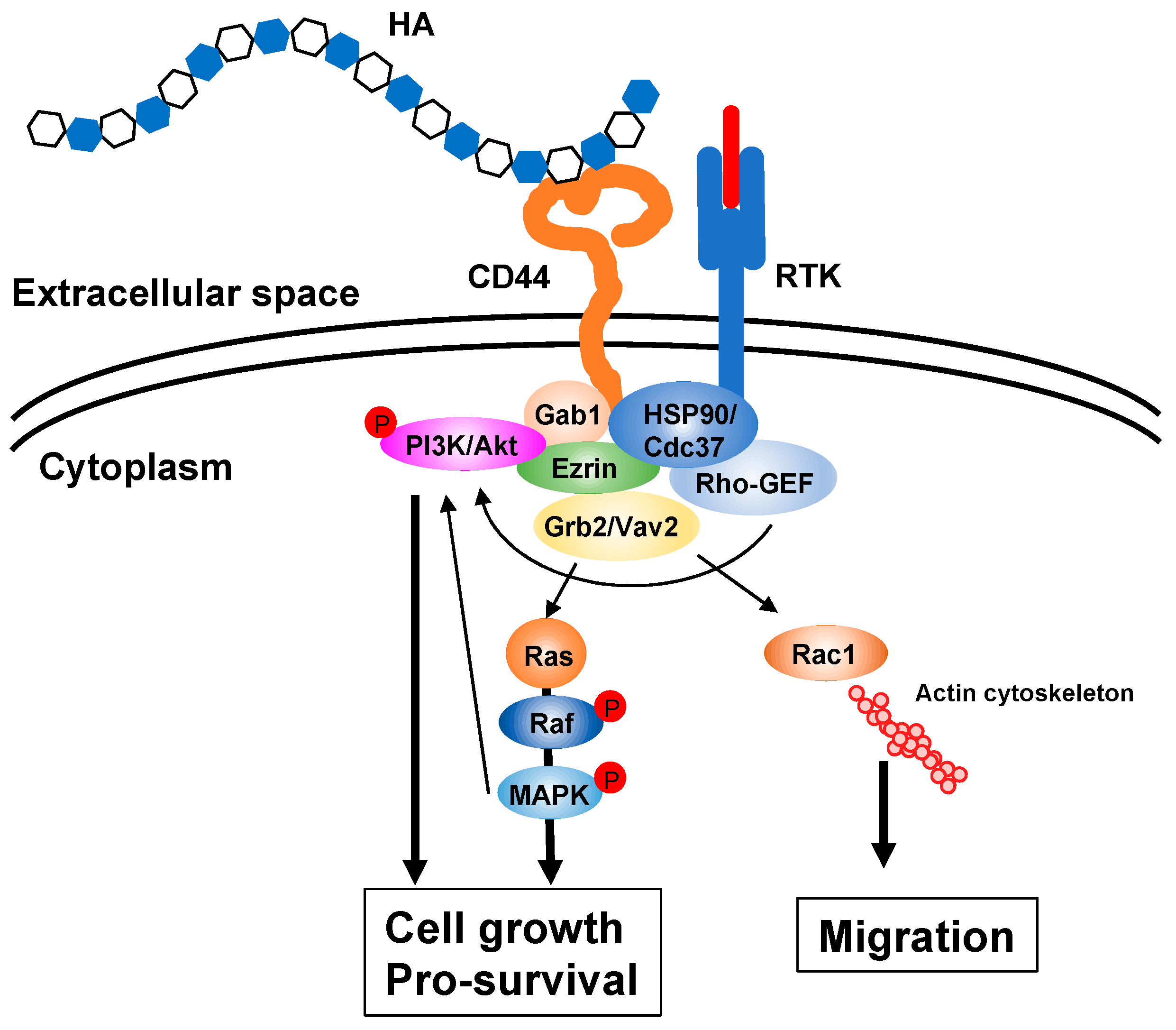 Biomolecules 10 01525 g002