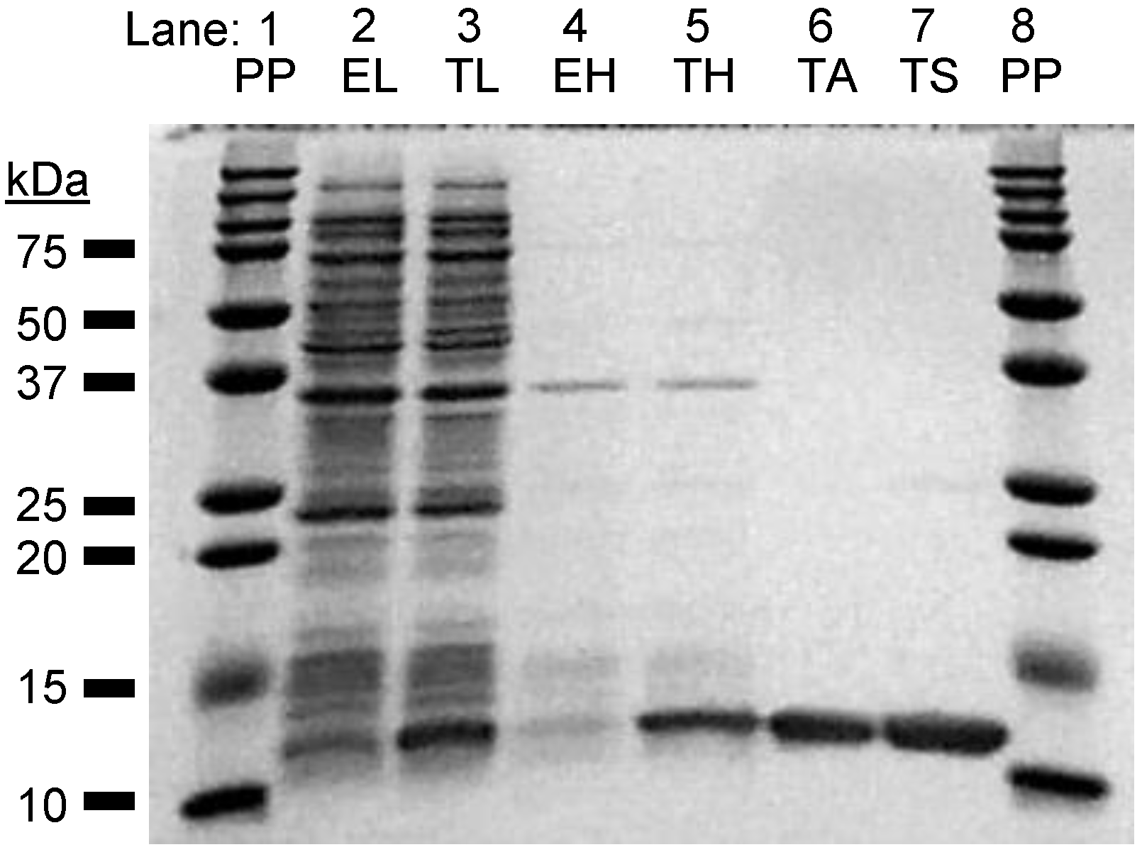 Biomolecules 10 01531 g004