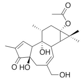 Biomolecules 10 01535 i002 Biomolecules 10 01535 i002