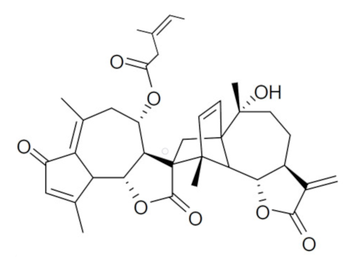 Biomolecules 10 01535 i014 Biomolecules 10 01535 i014