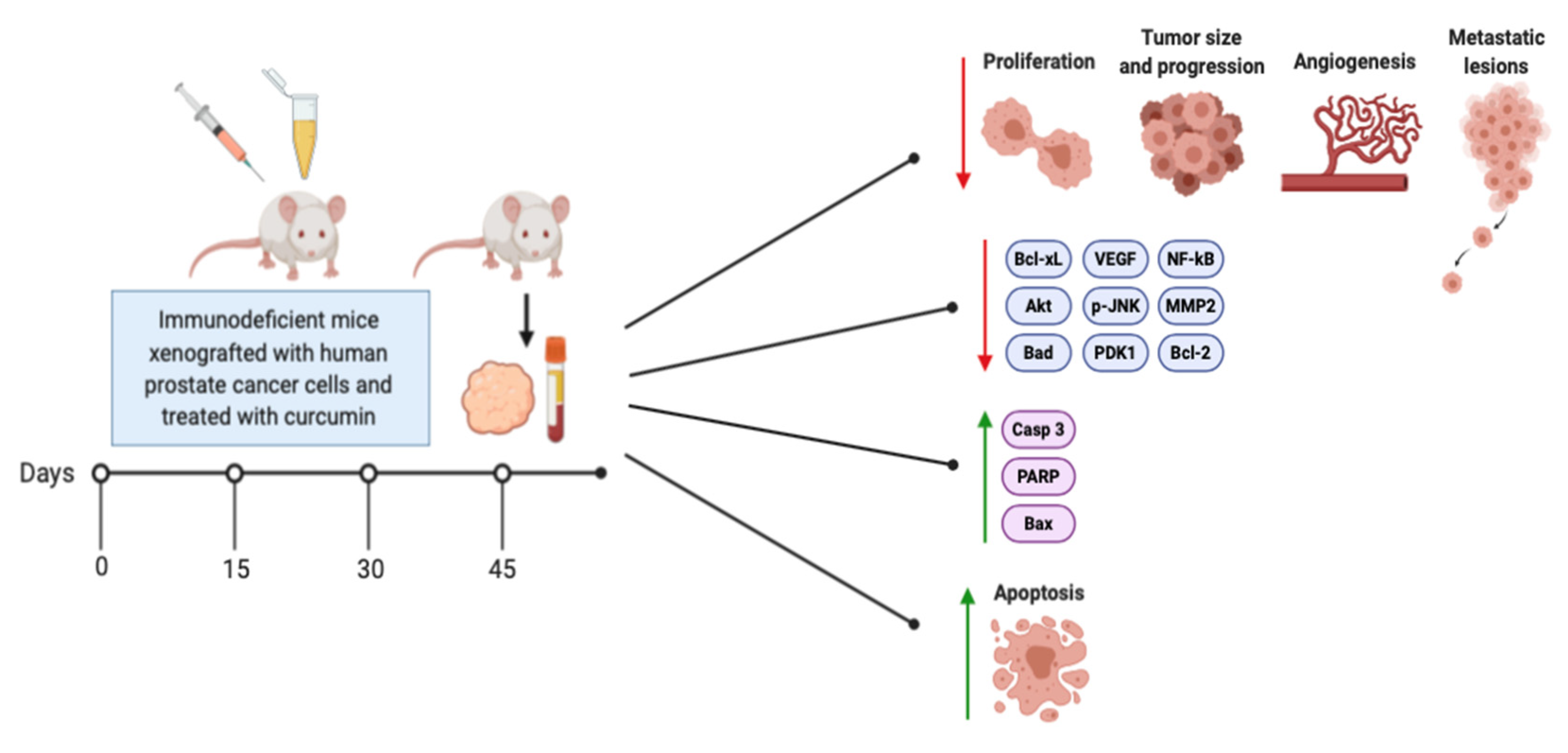 Biomolecules 10 01536 g004