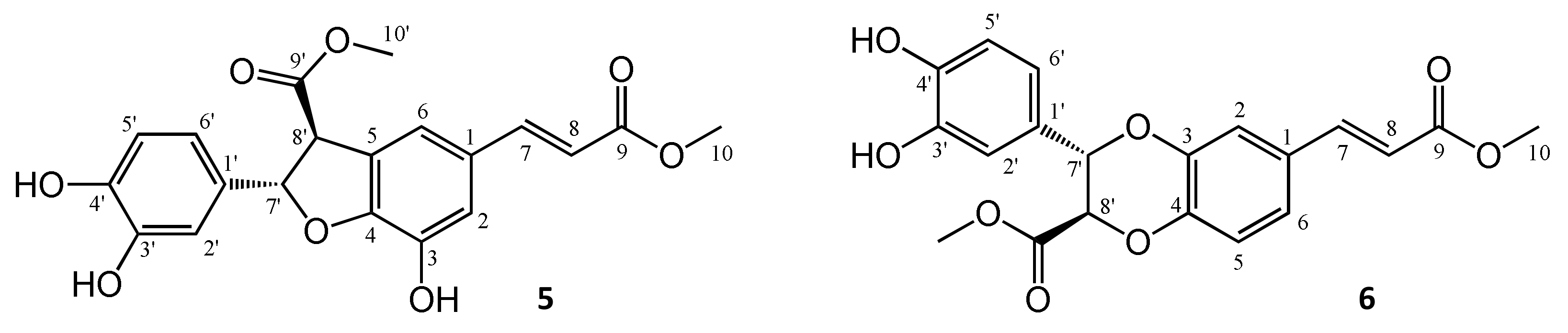 Biomolecules 10 01537 g004