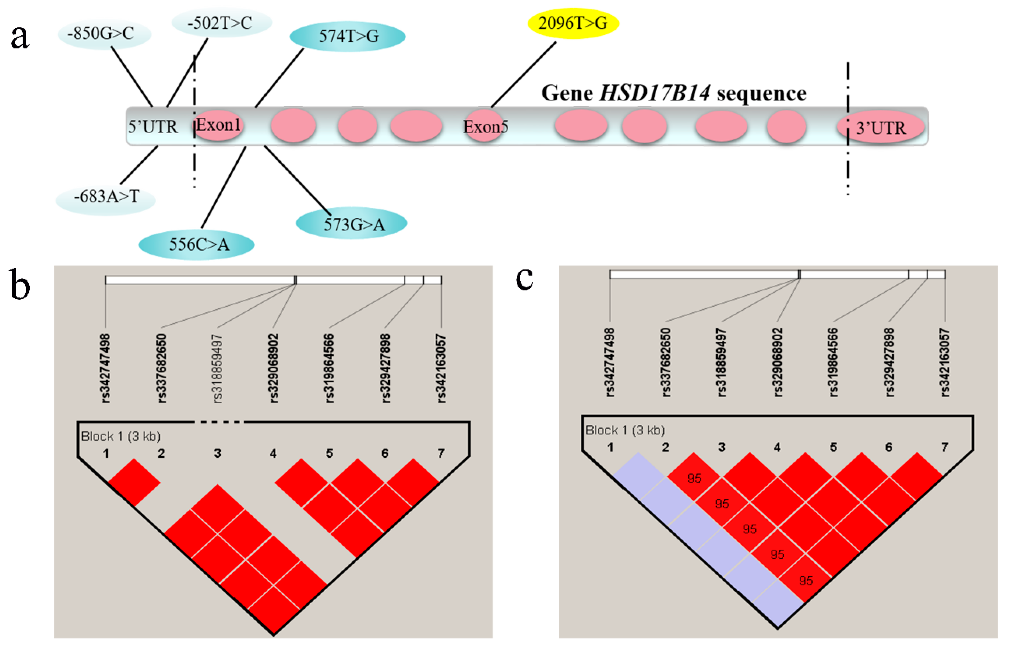 Biomolecules 10 01545 g002