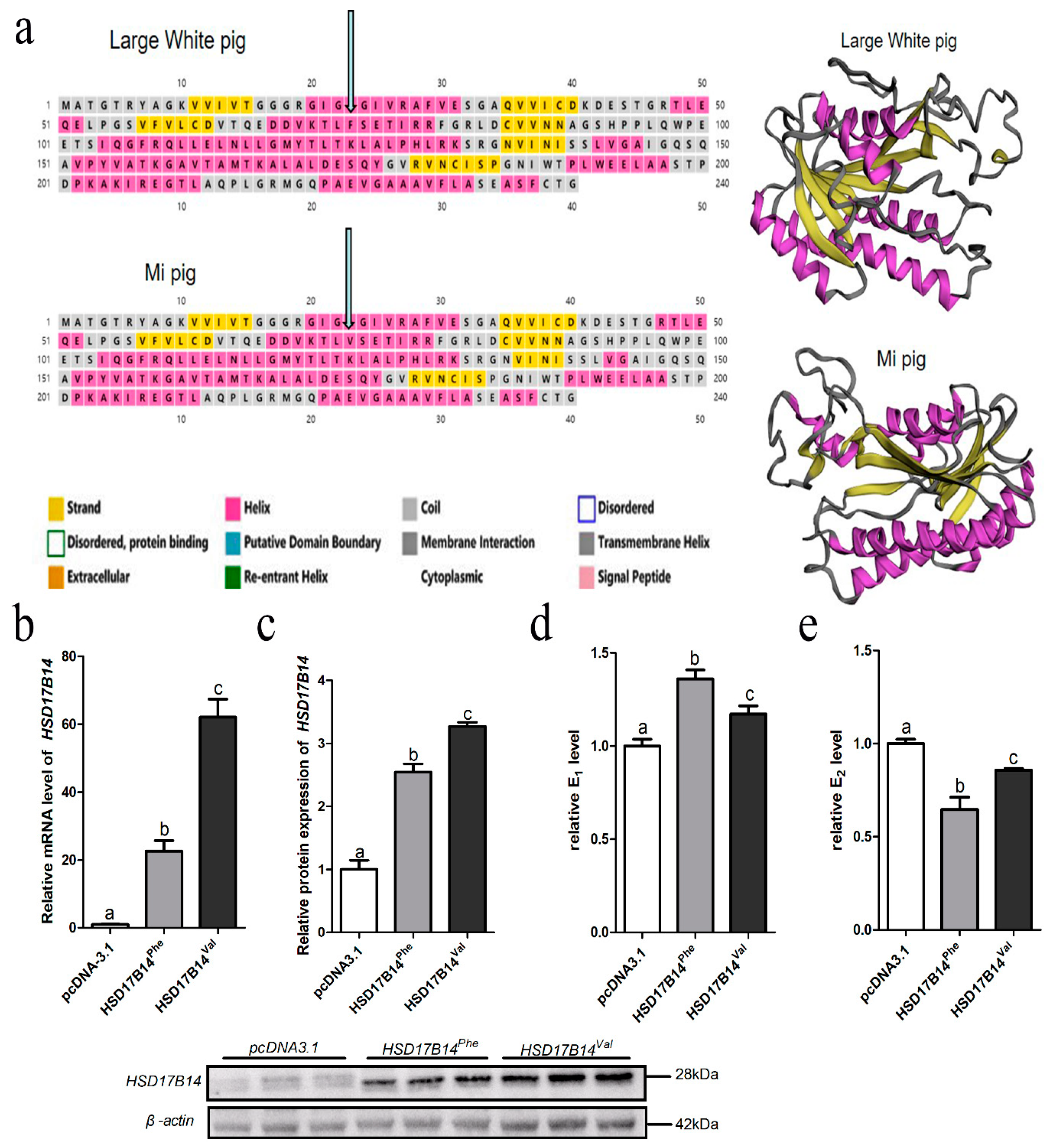 Biomolecules 10 01545 g004