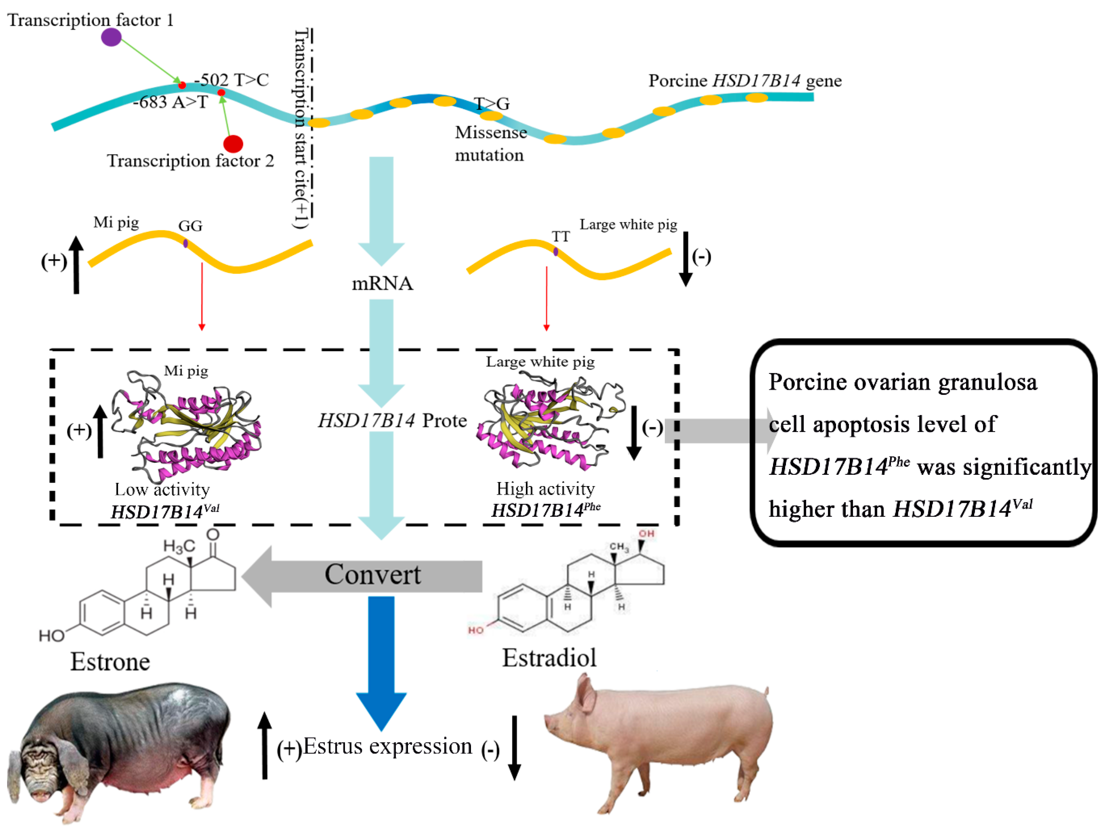 Biomolecules 10 01545 g006