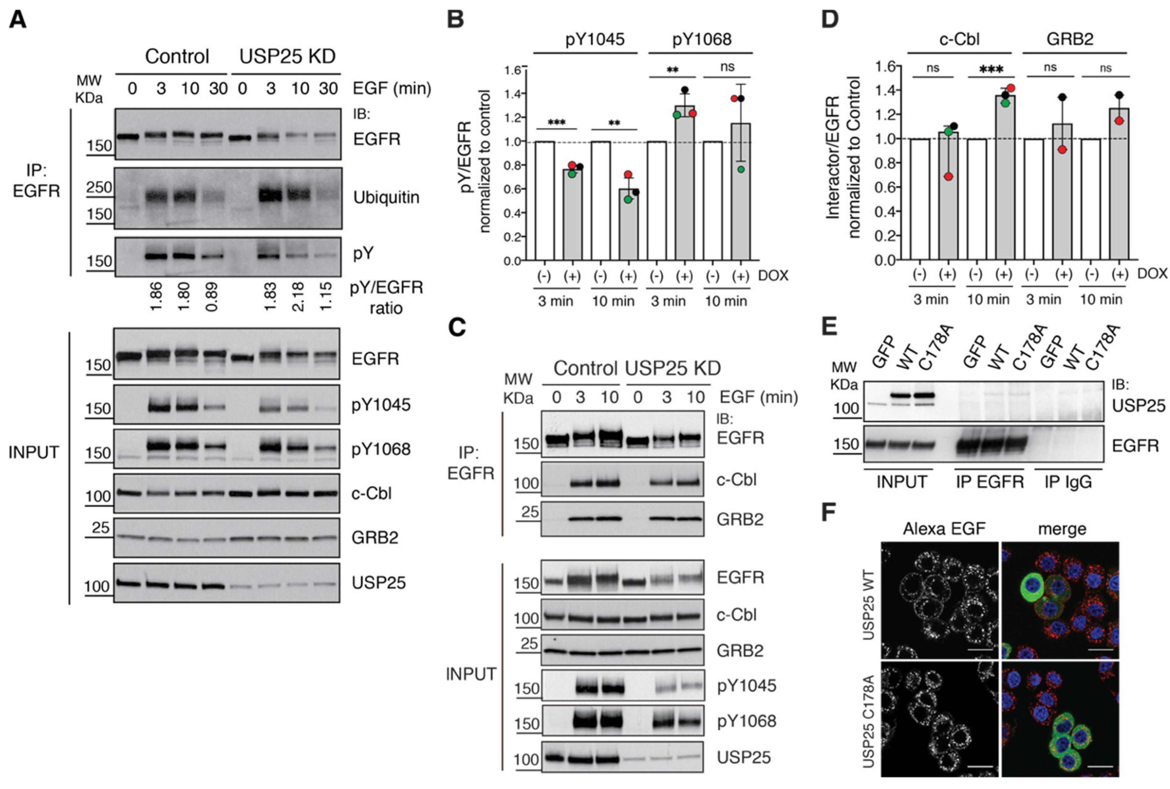 Biomolecules 10 01548 g005
