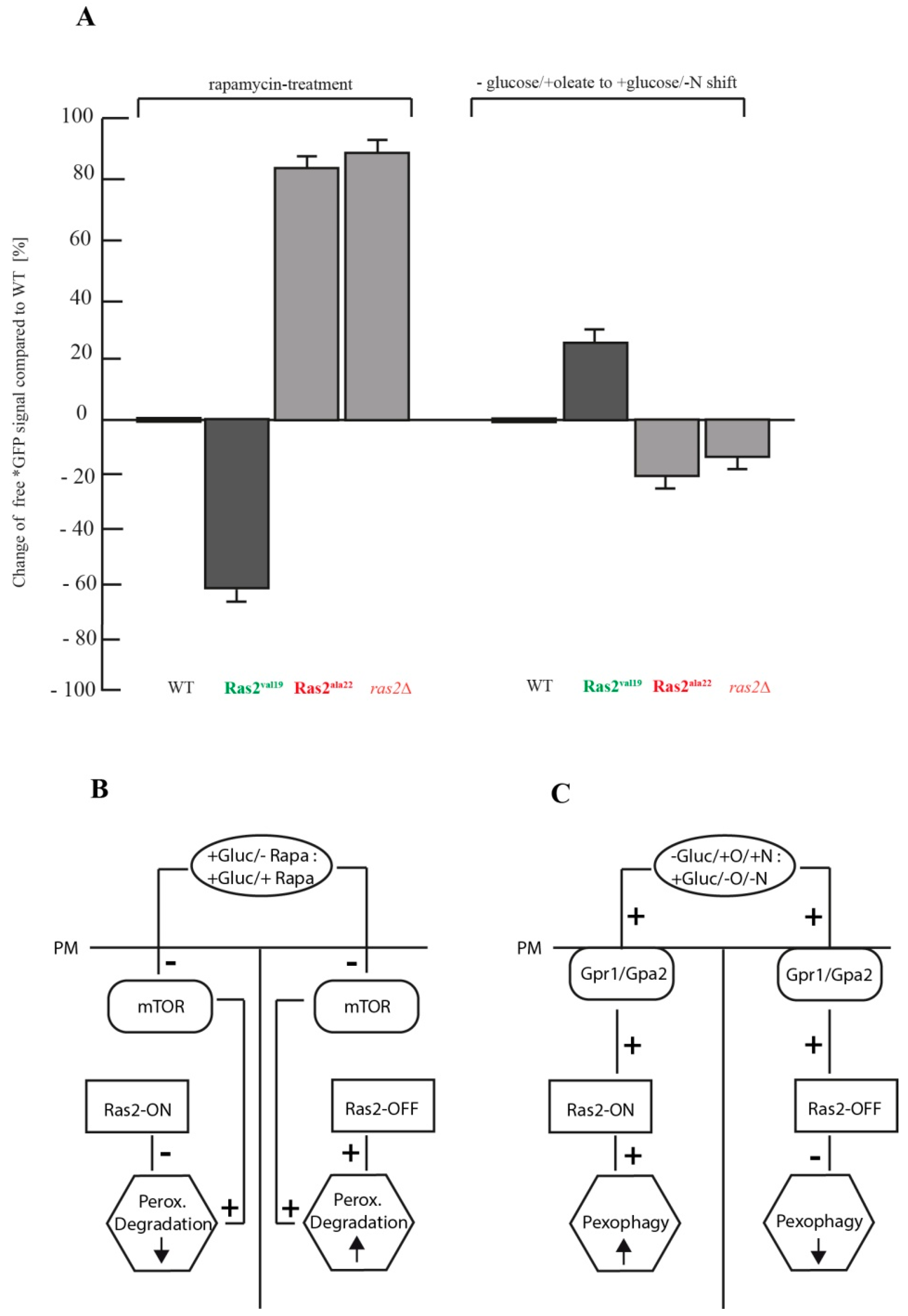 Biomolecules 10 01553 g004
