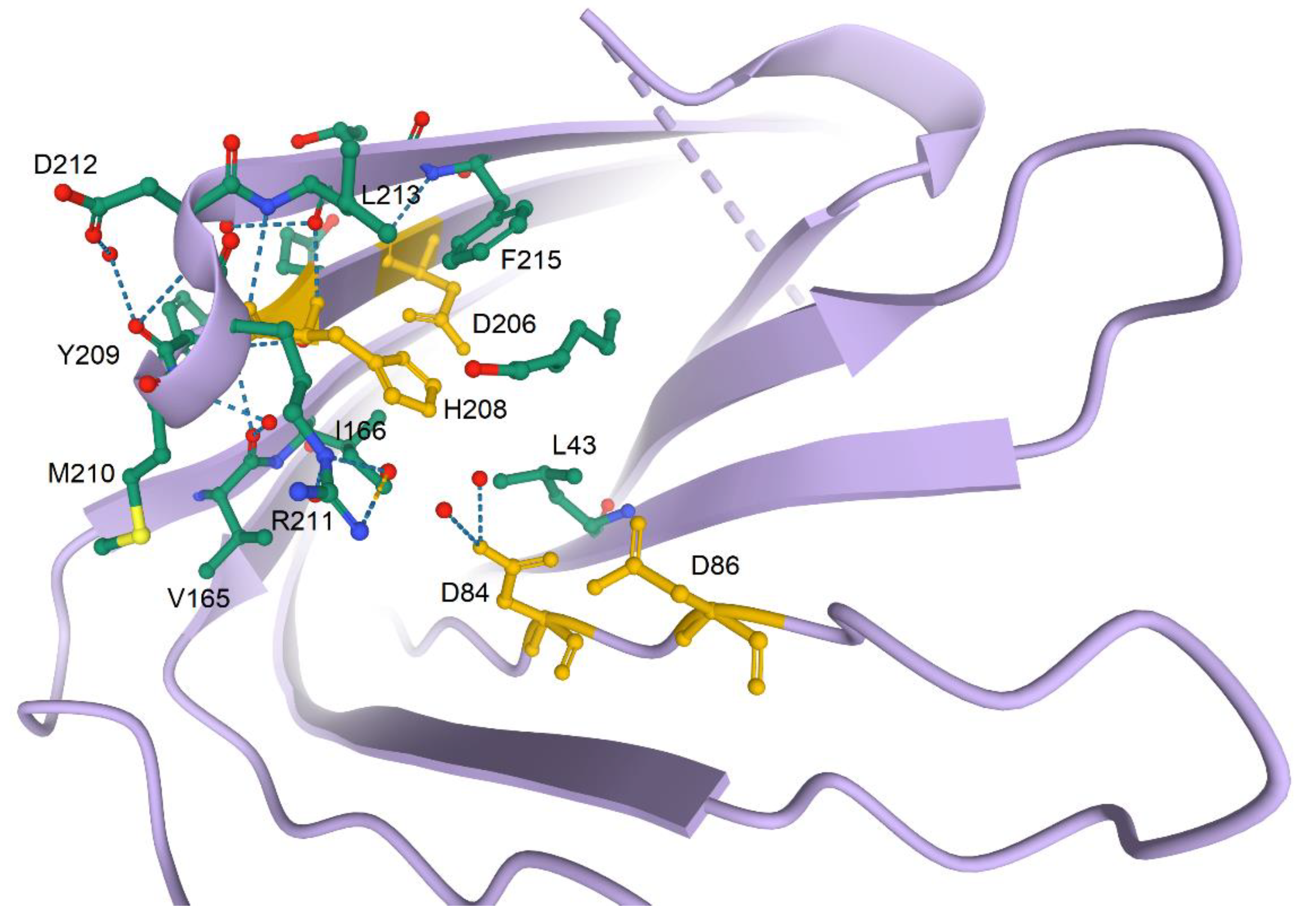 Biomolecules 10 01554 g005