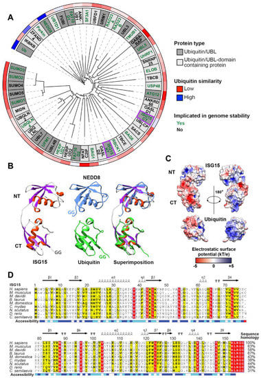 Biomolecules 10 01557 g001