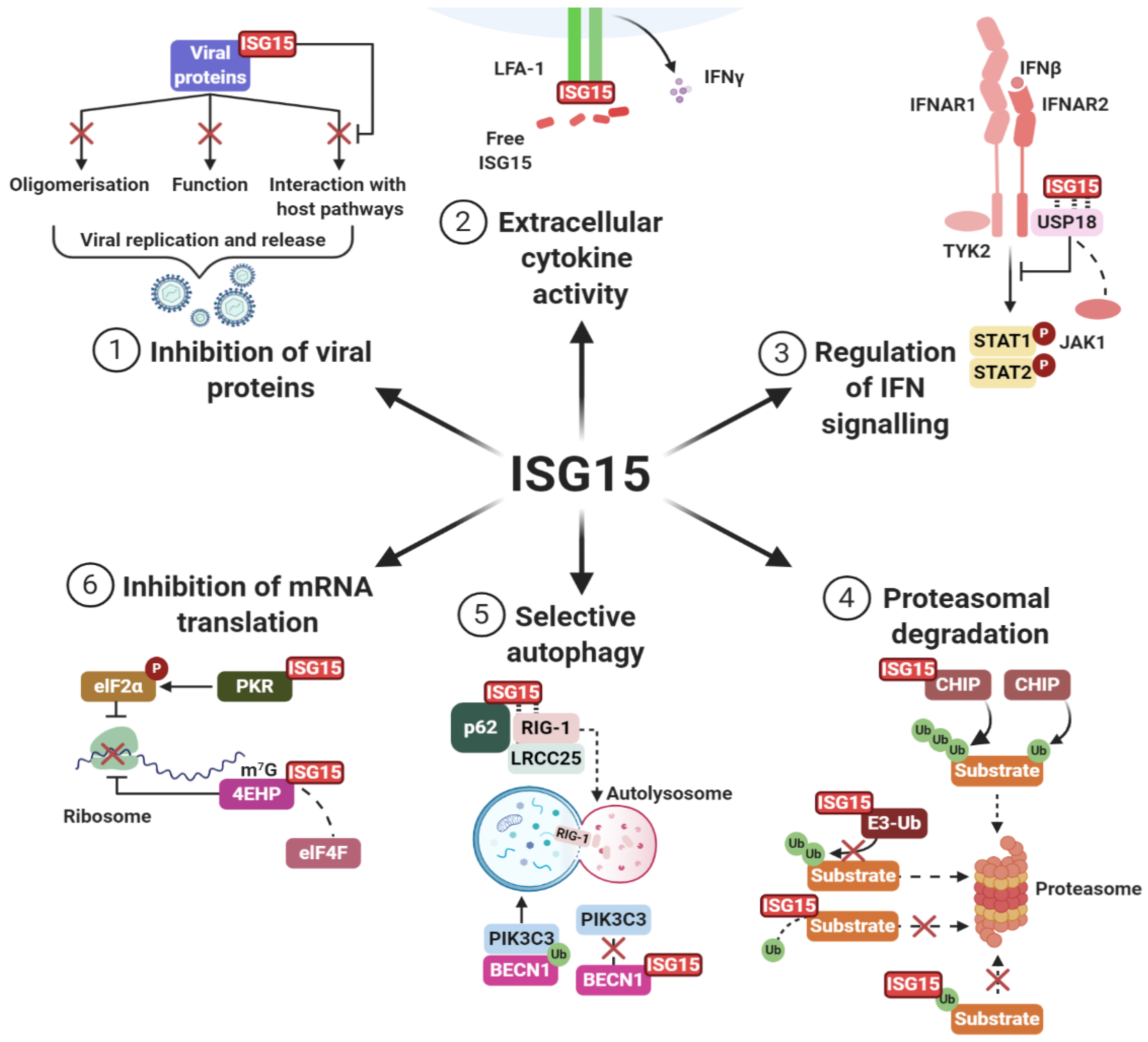 Biomolecules 10 01557 g003
