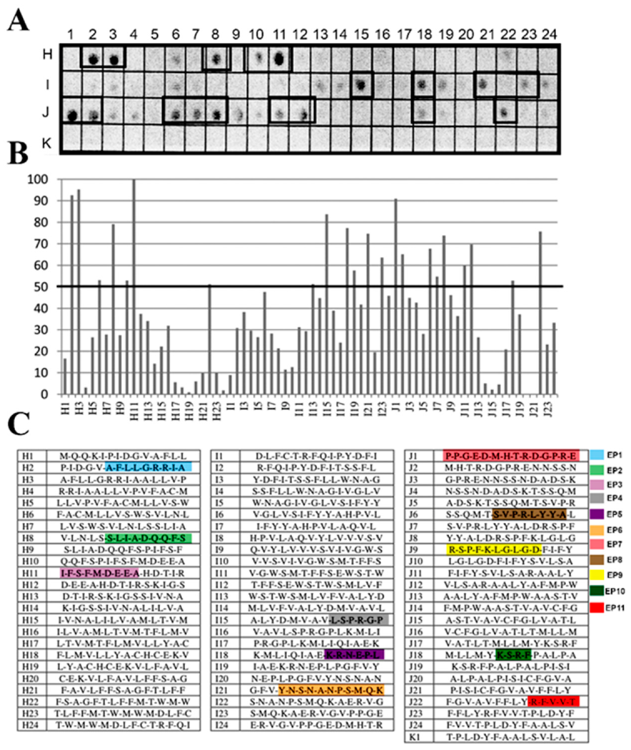 Biomolecules 10 01564 g001 Biomolecules 10 01564 g001