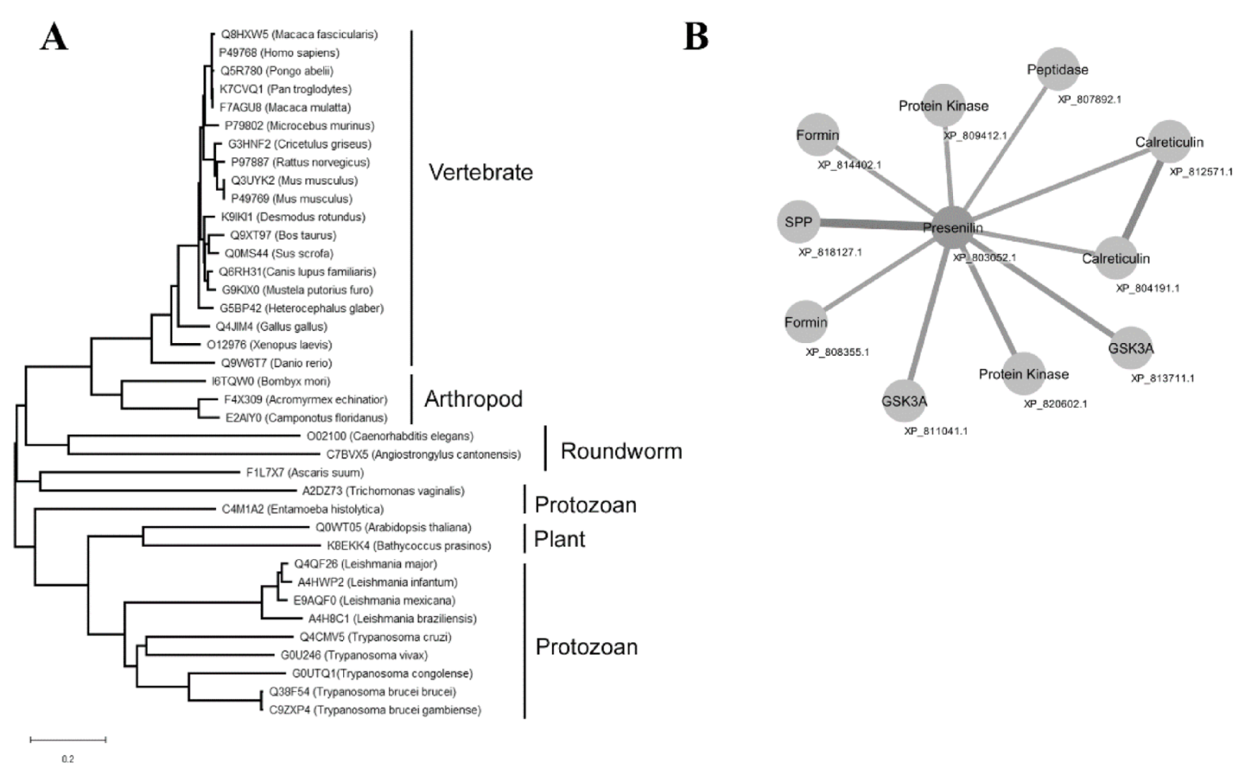 Biomolecules 10 01564 g003 Biomolecules 10 01564 g003