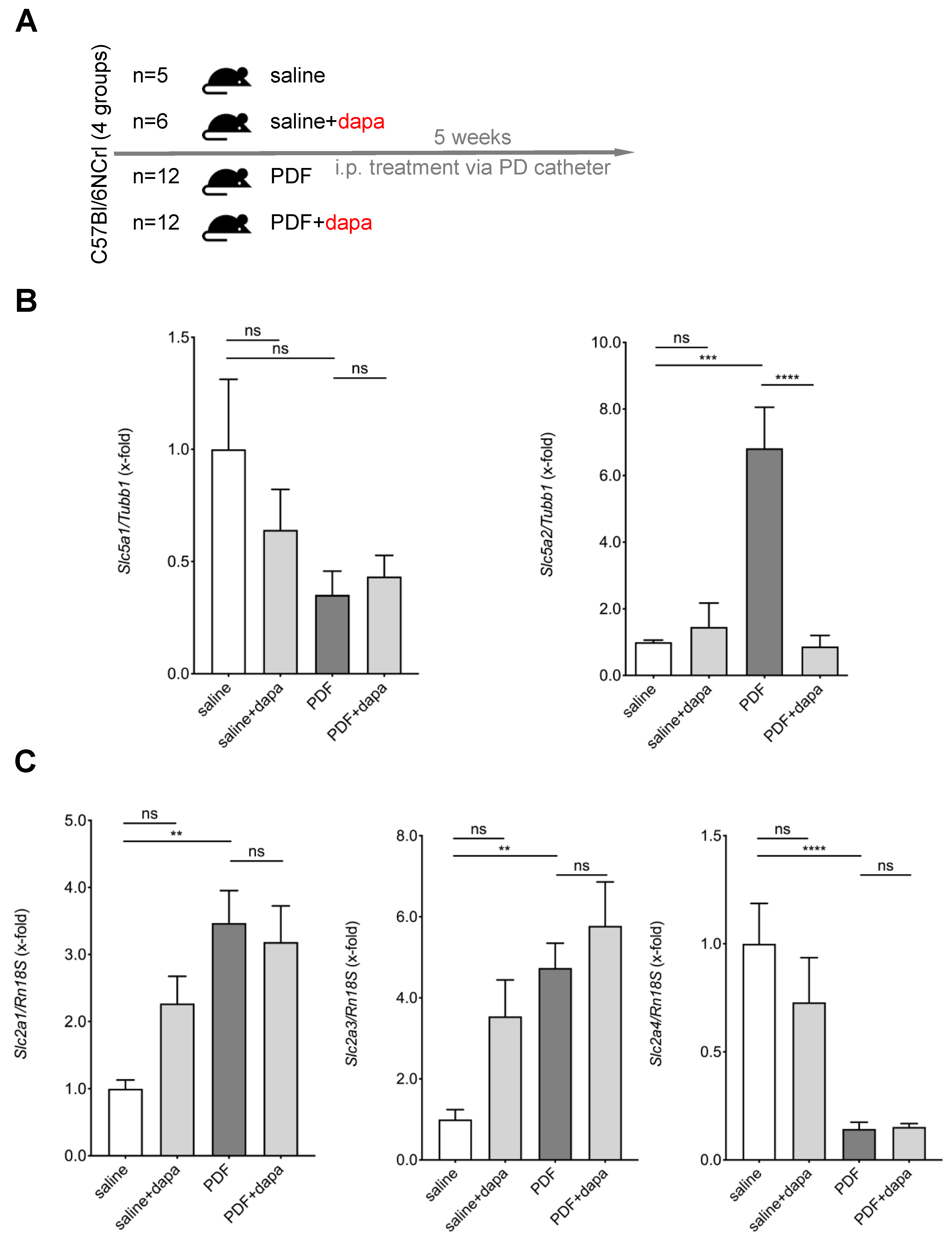 Biomolecules 10 01573 g002