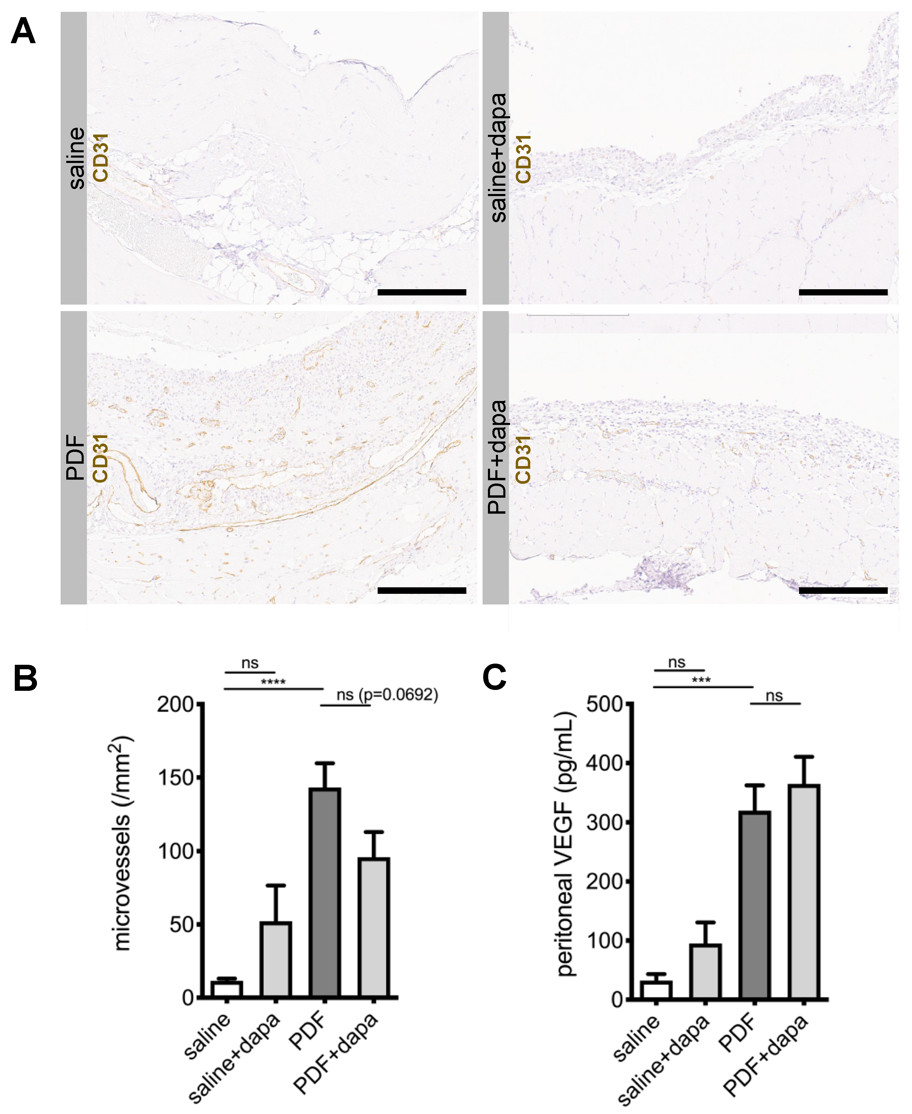 Biomolecules 10 01573 g004
