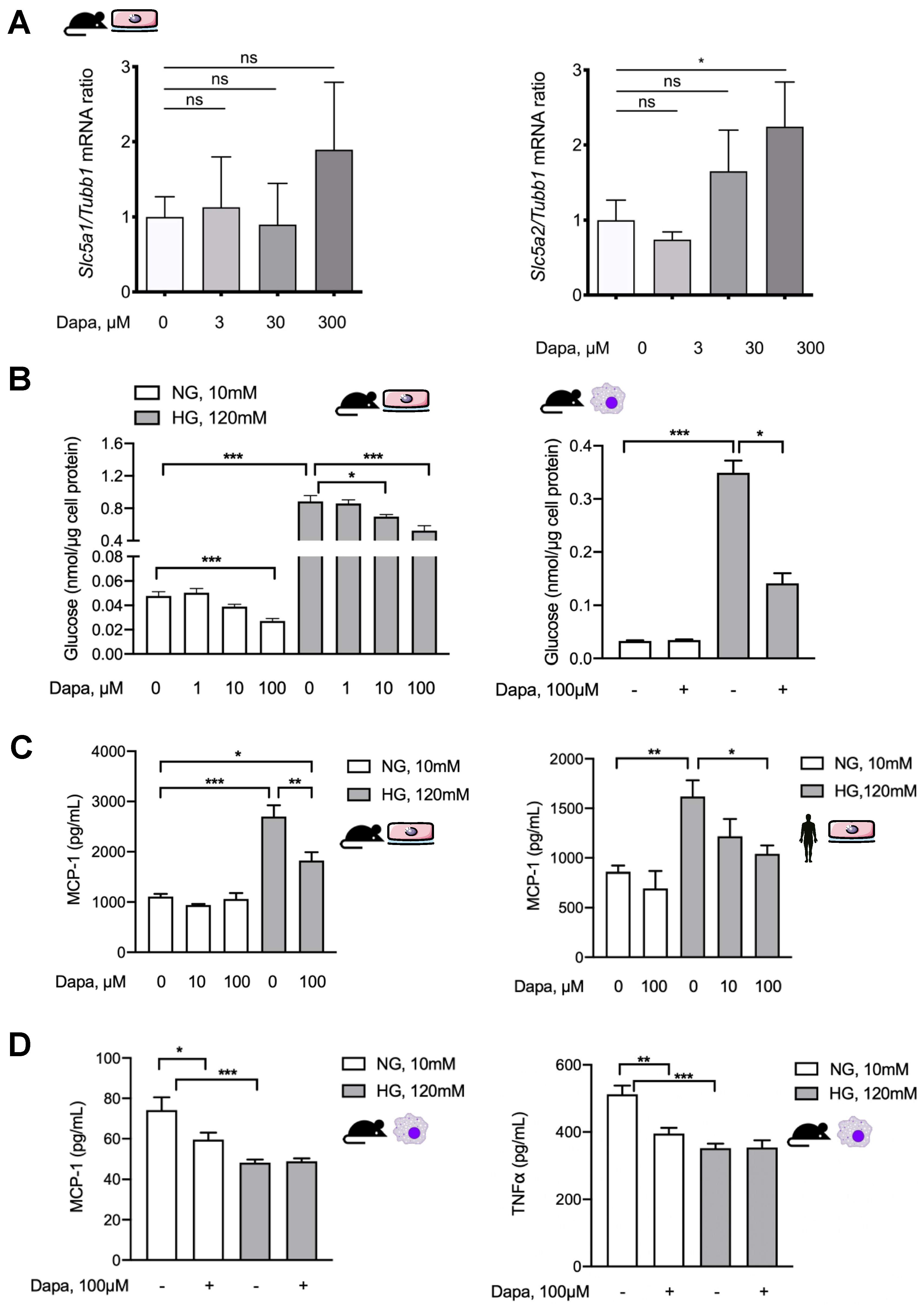 Biomolecules 10 01573 g006