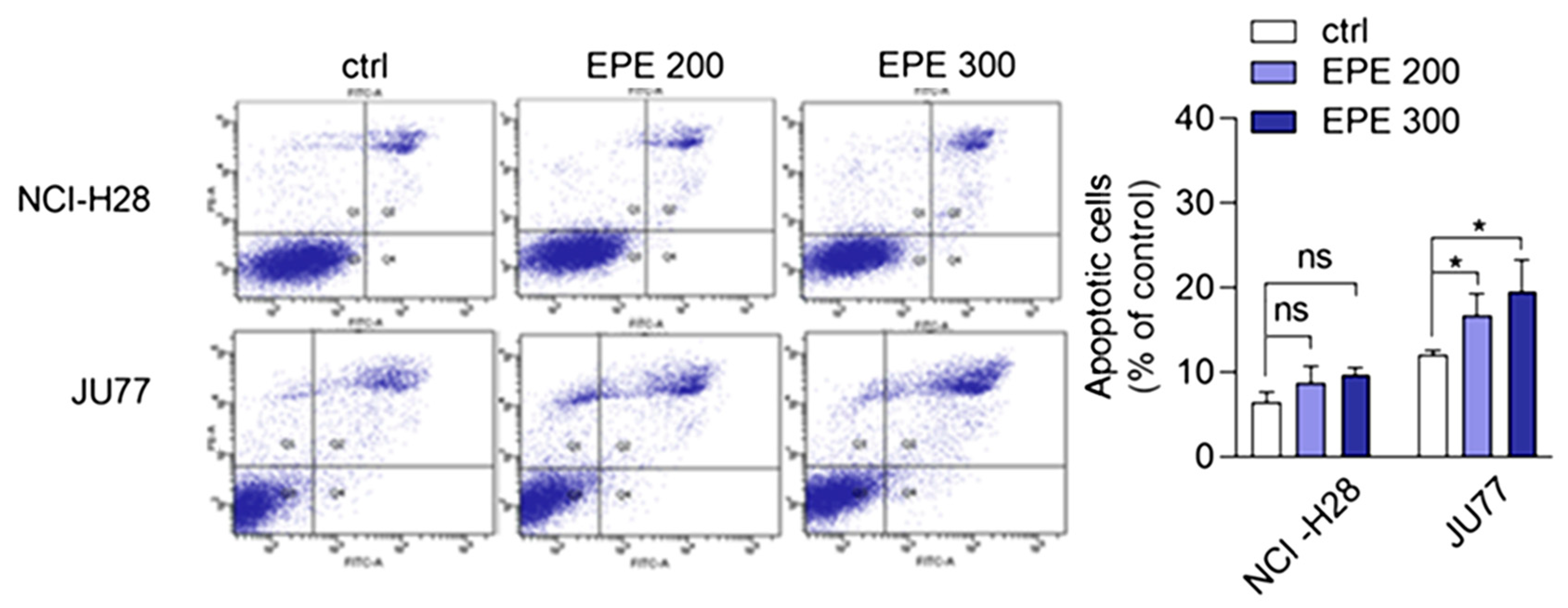 Biomolecules 10 01574 g004 Biomolecules 10 01574 g004