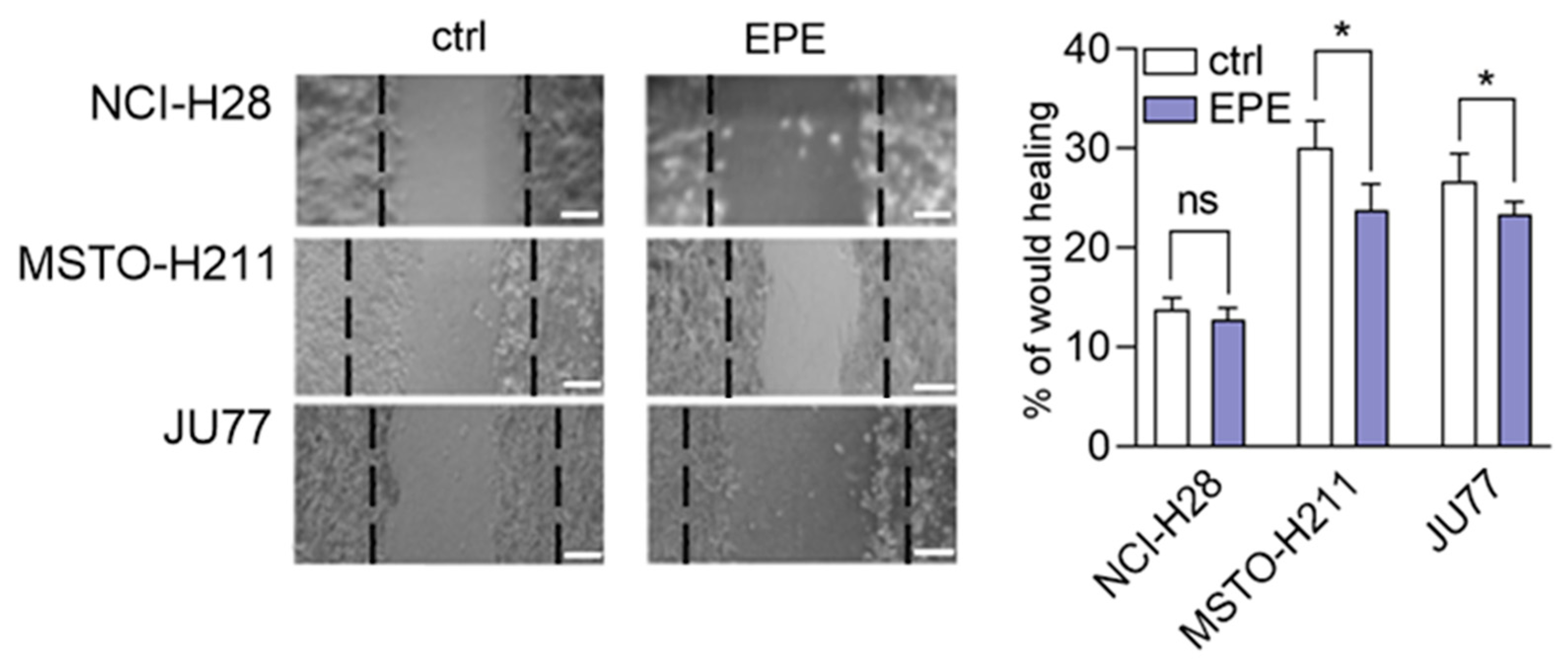 Biomolecules 10 01574 g005 Biomolecules 10 01574 g005