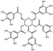 Biomolecules 10 01574 i004 Biomolecules 10 01574 i004