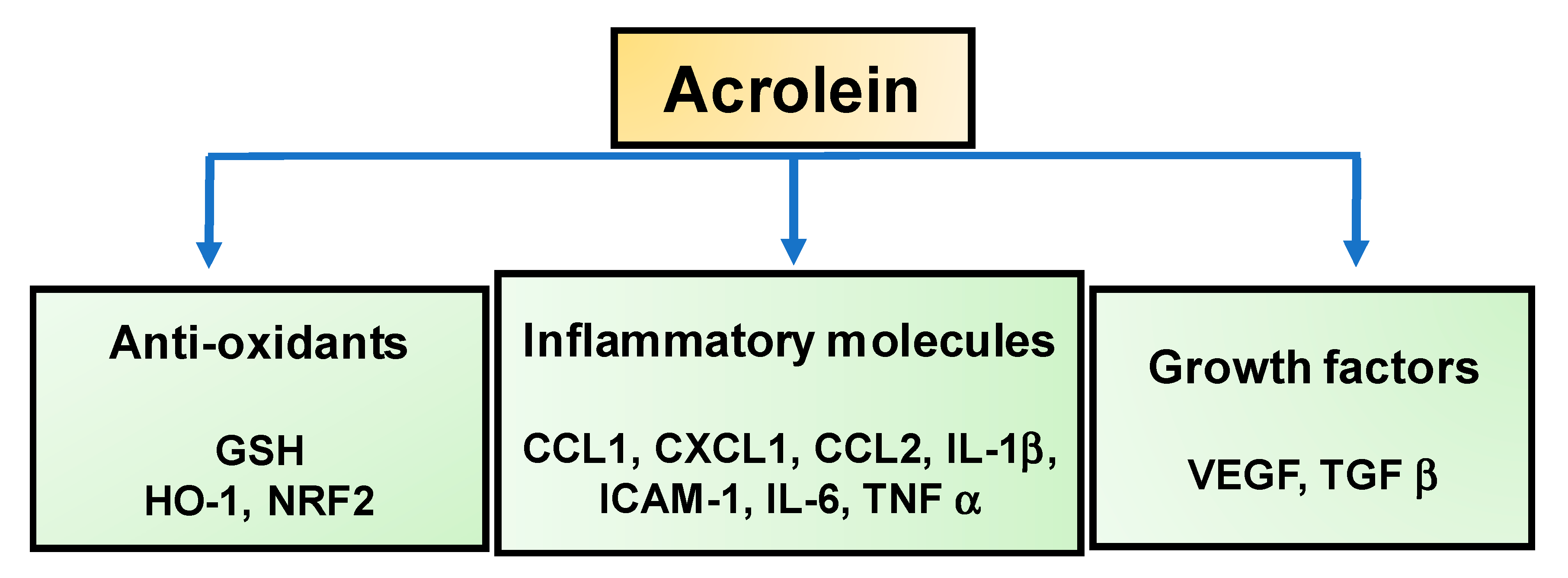 Biomolecules 10 01579 g003