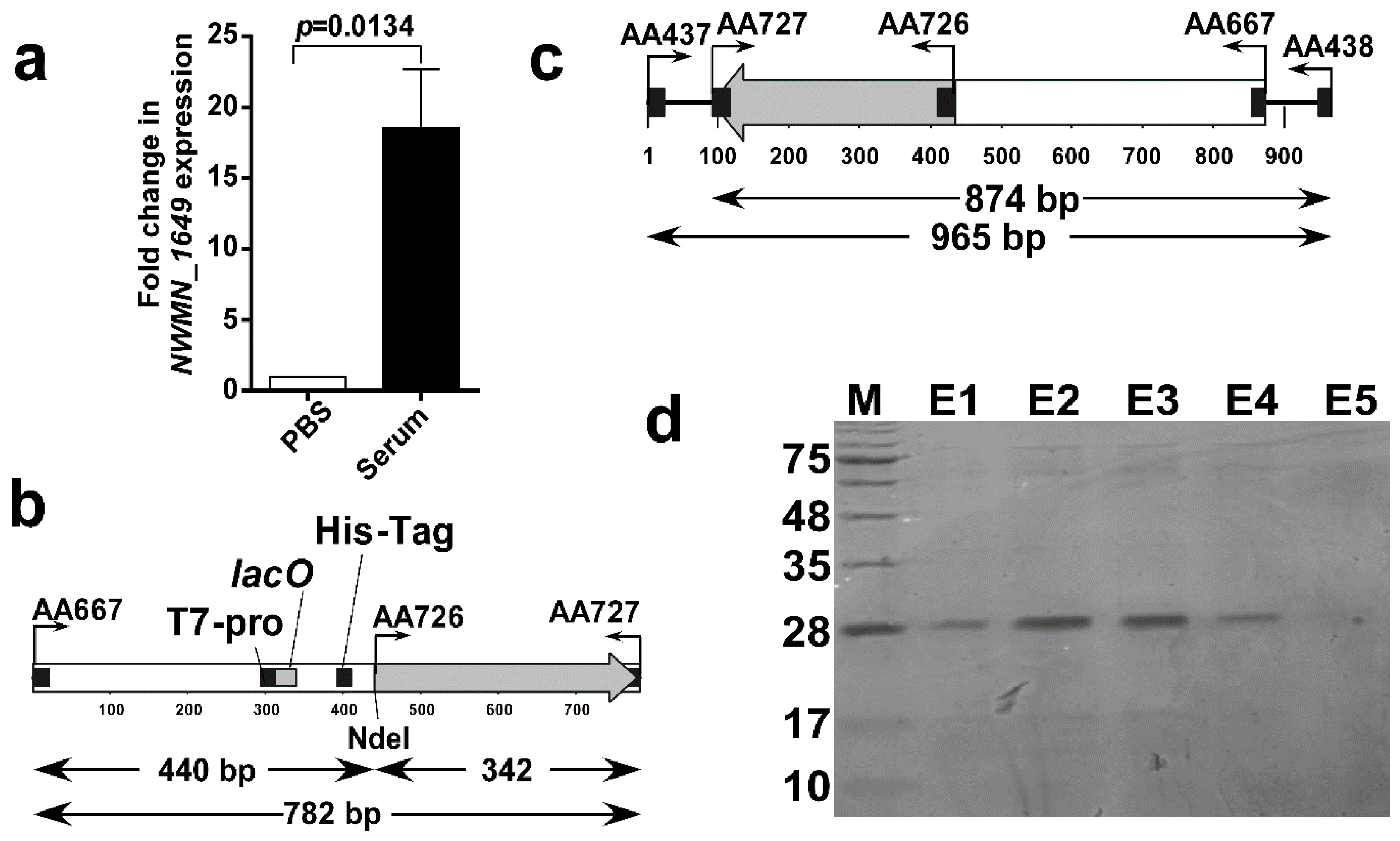 Biomolecules 10 01580 g003 Biomolecules 10 01580 g003