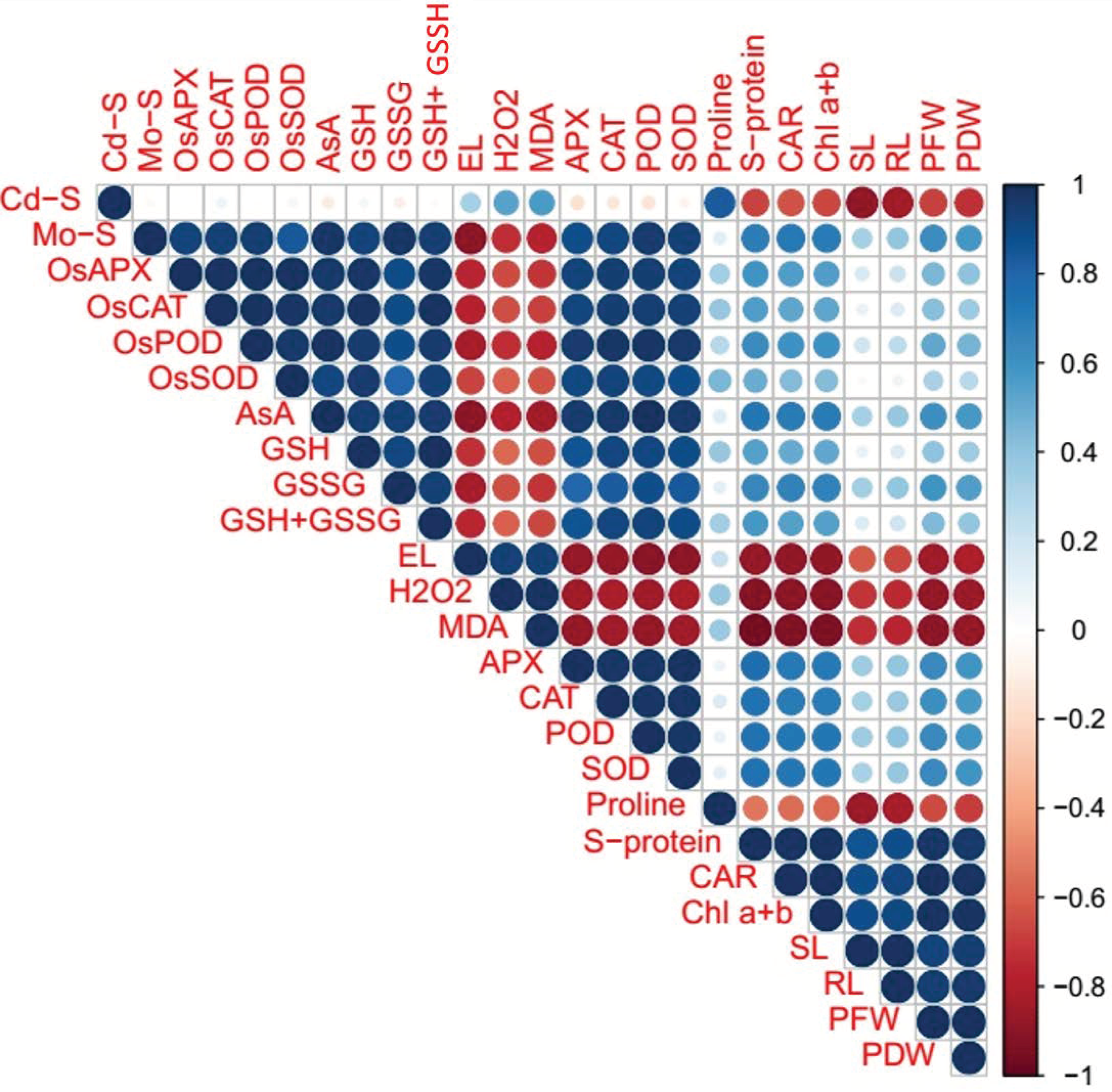 Biomolecules 10 01582 g007
