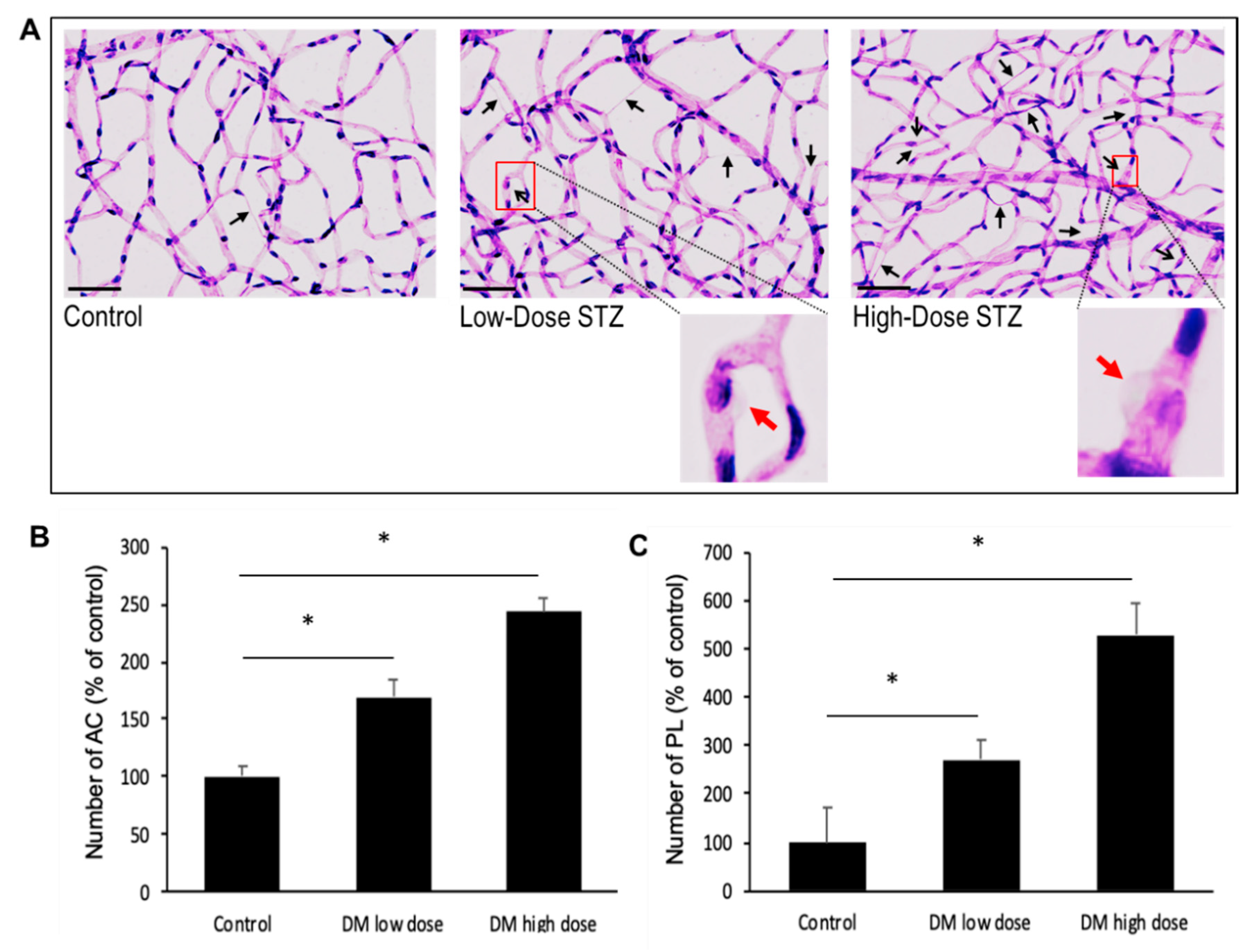 Biomolecules 10 01583 g006