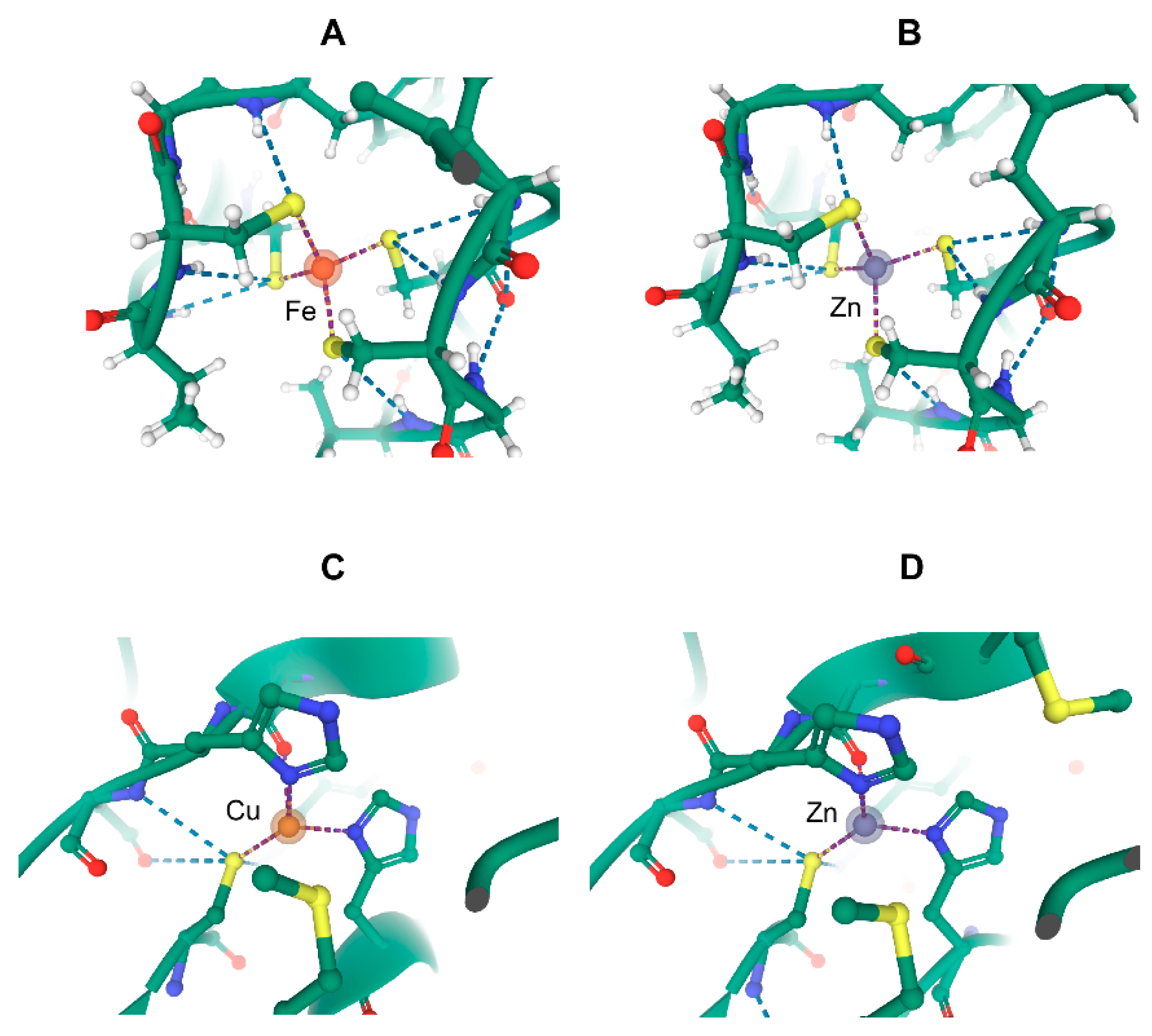 Biomolecules 10 01584 g002