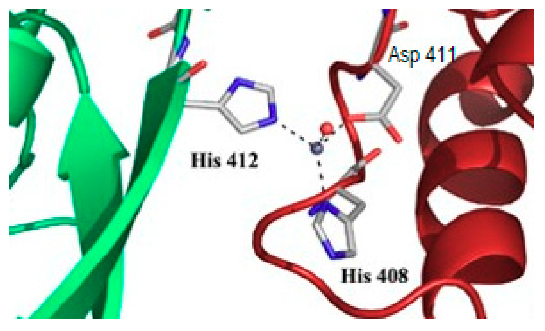 Biomolecules 10 01584 g003