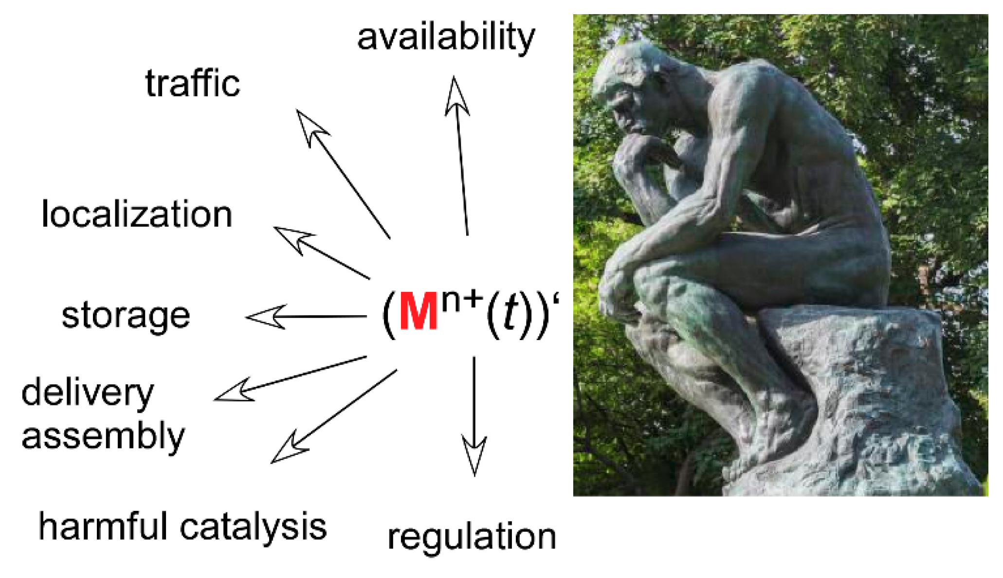 Biomolecules 10 01584 g005