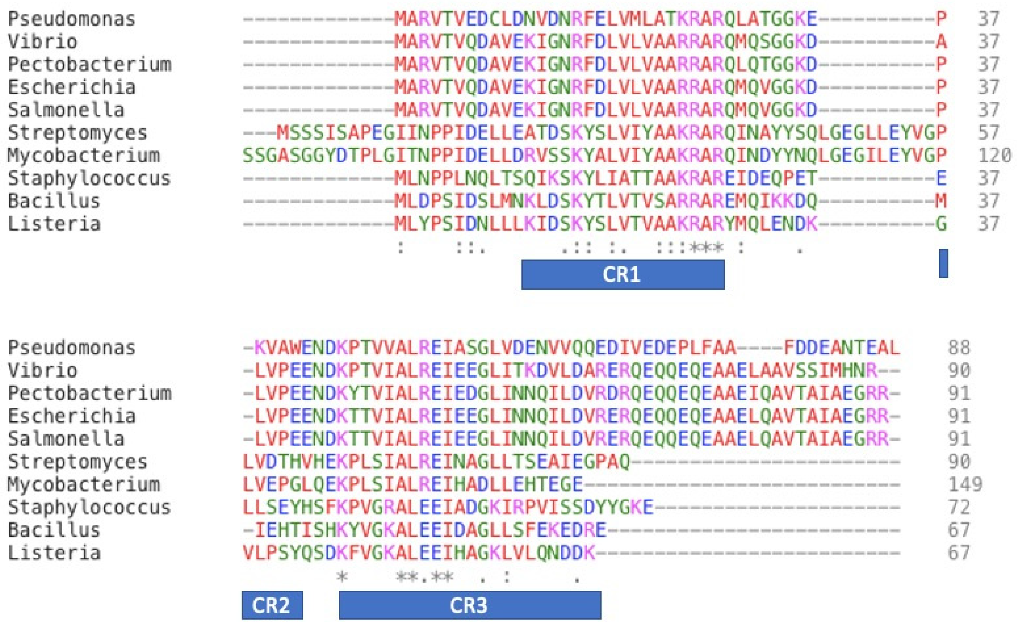 Biomolecules 10 01588 g001