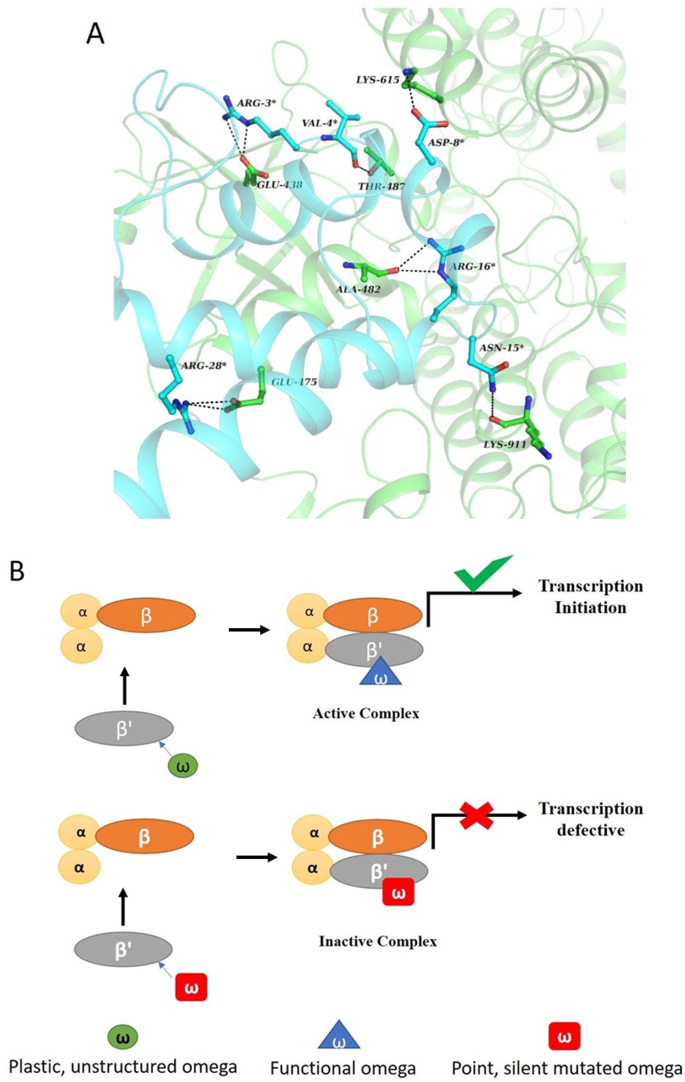 Biomolecules 10 01588 g003