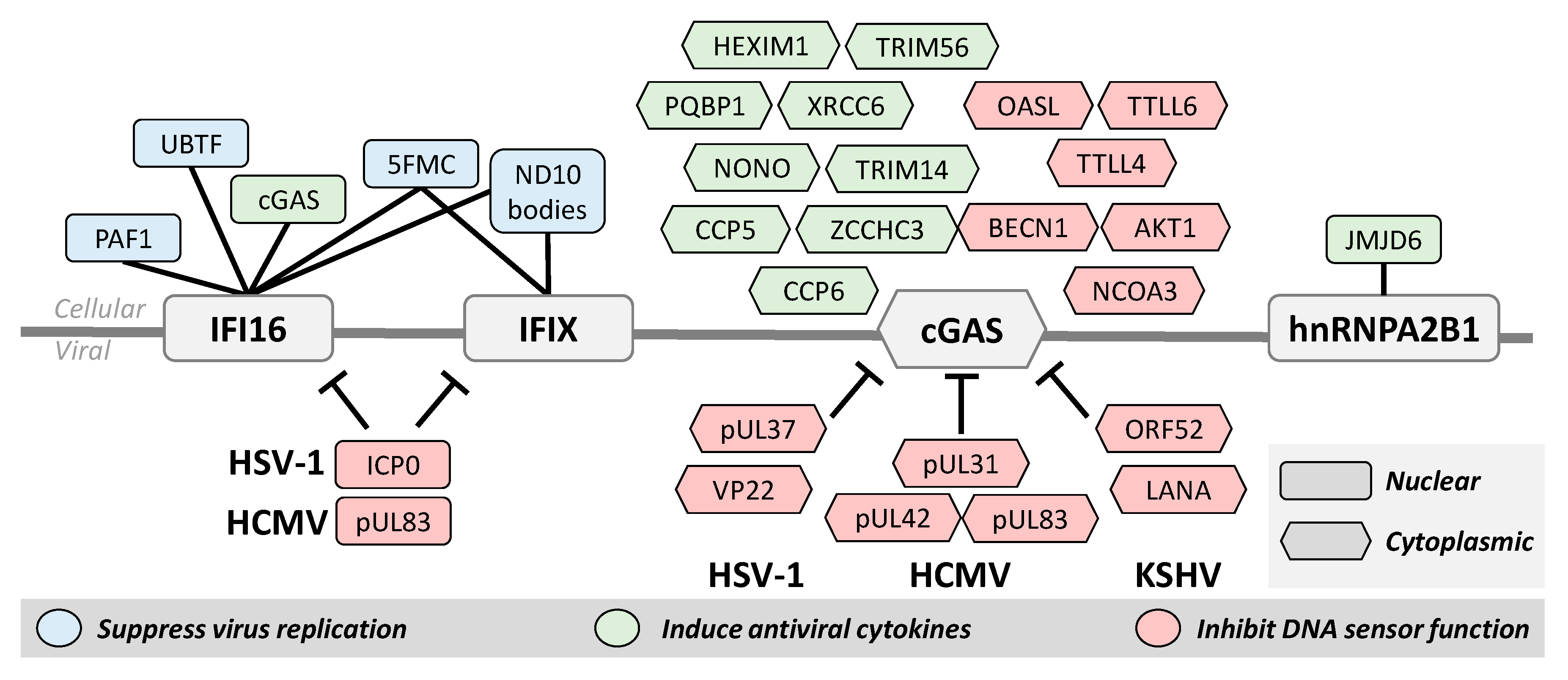 Biomolecules 10 01591 g003 Biomolecules 10 01591 g003