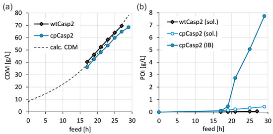 Biomolecules 10 01592 g002