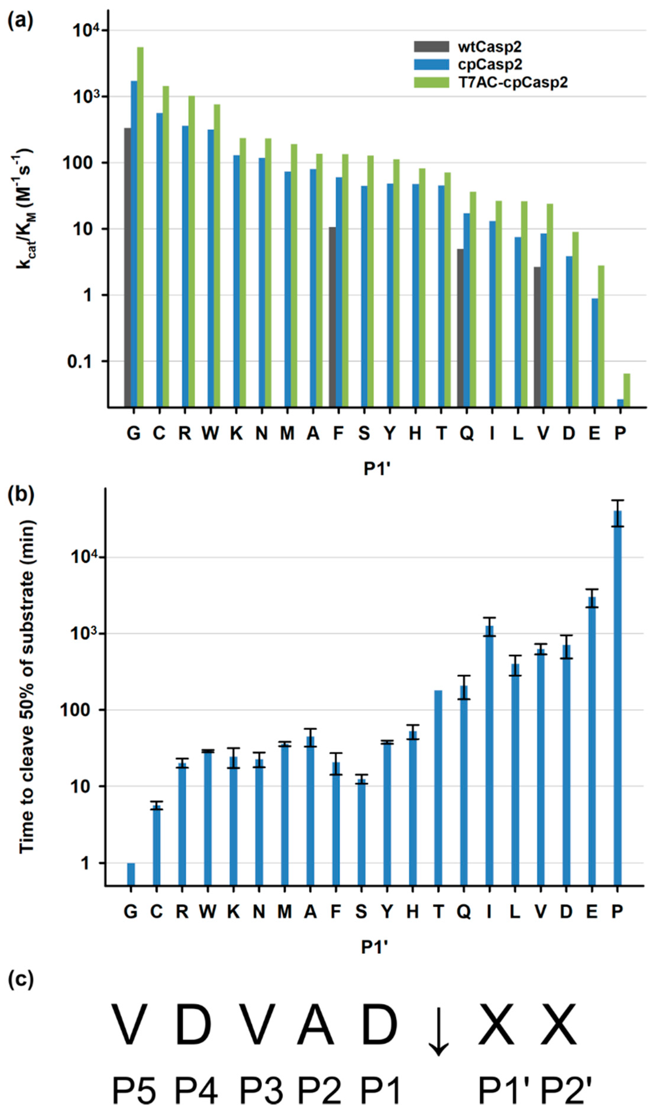 Biomolecules 10 01592 g006