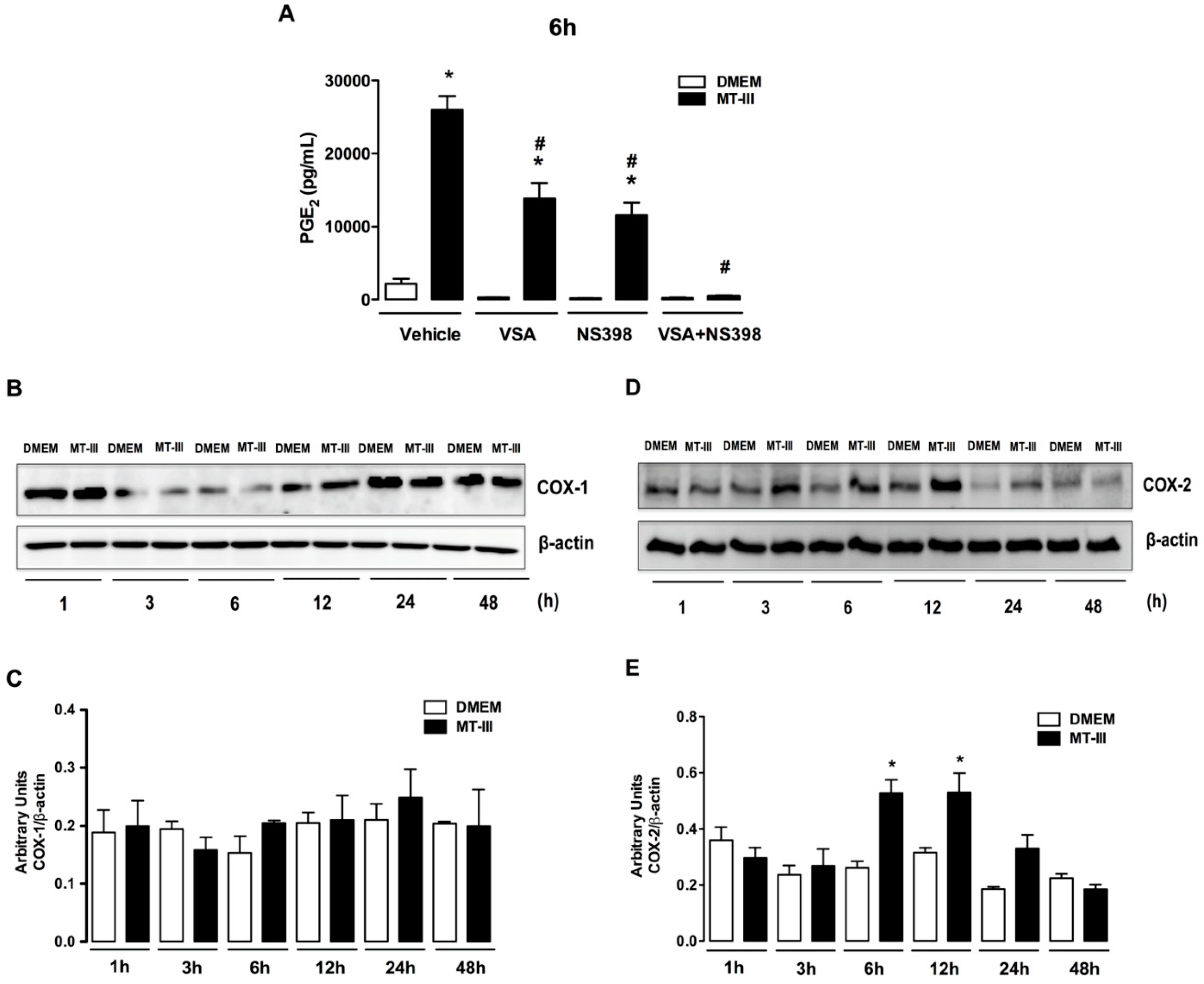 Biomolecules 10 01593 g002 Biomolecules 10 01593 g002