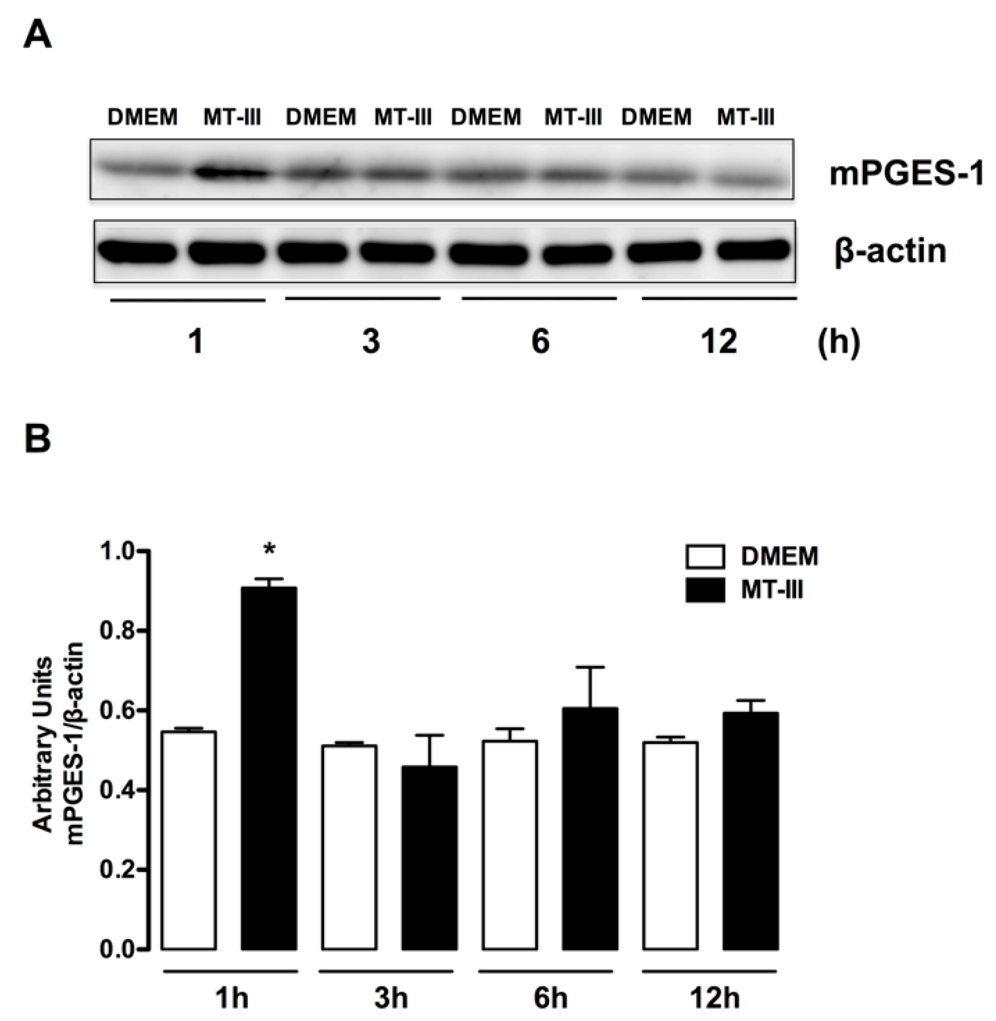 Biomolecules 10 01593 g003 Biomolecules 10 01593 g003