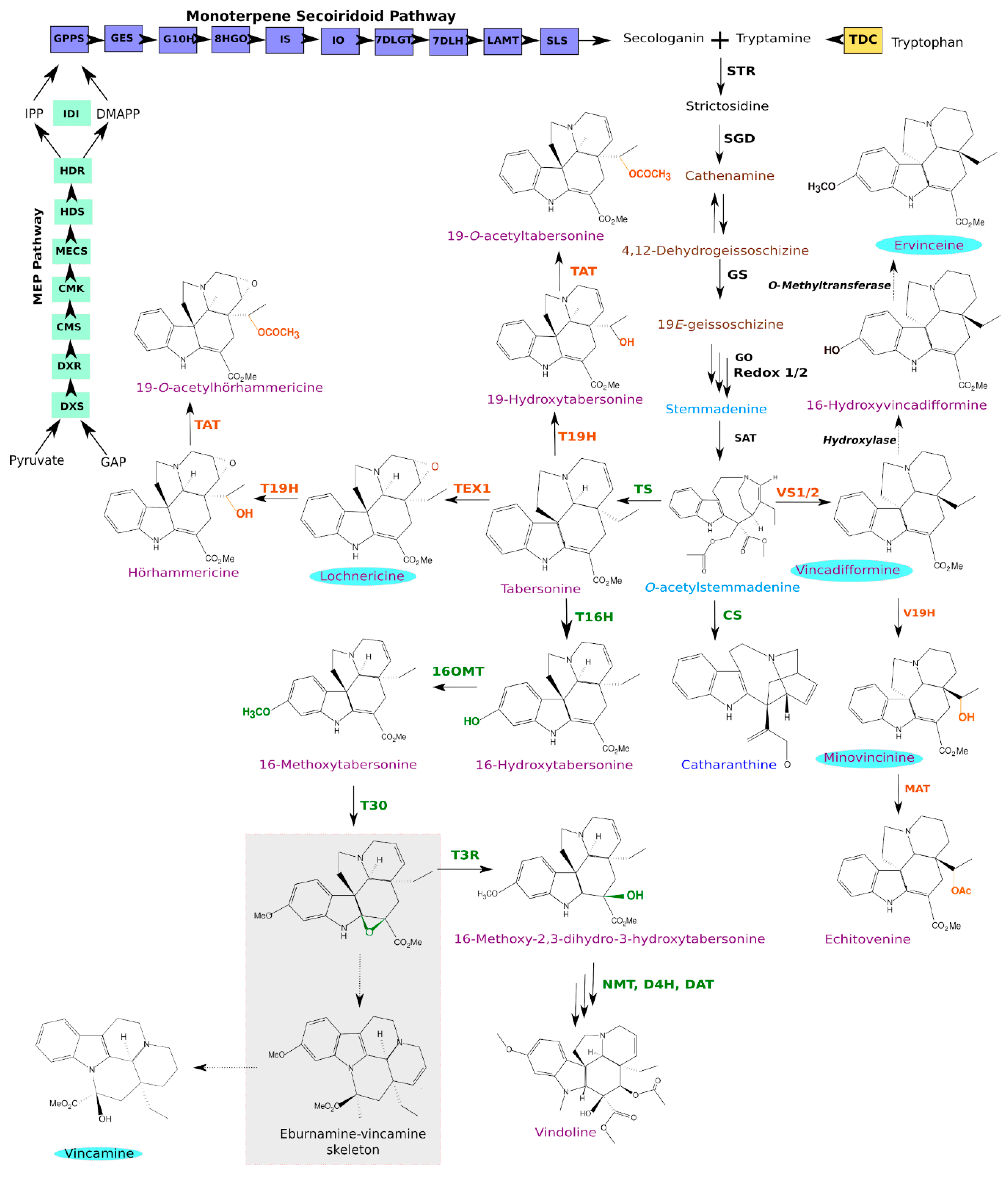 Biomolecules 10 01595 g001
