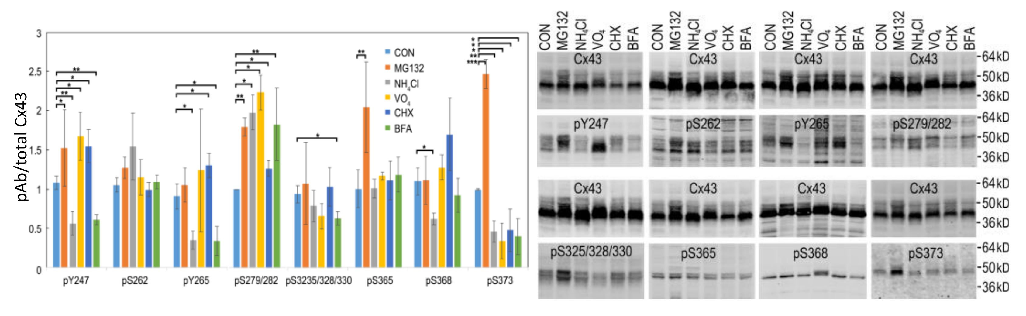 Biomolecules 10 01596 g005